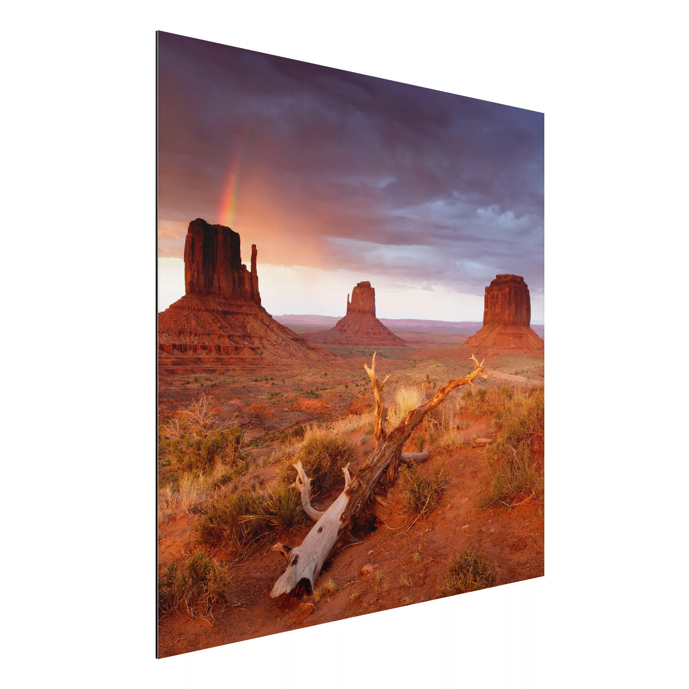 Alu-Dibond Bild Natur & Landschaft - Quadrat Monument Valley bei Sonnenunte günstig online kaufen