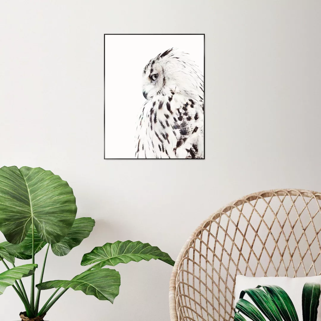 Reinders Bild mit Rahmen "White Owl", (1 St.) günstig online kaufen