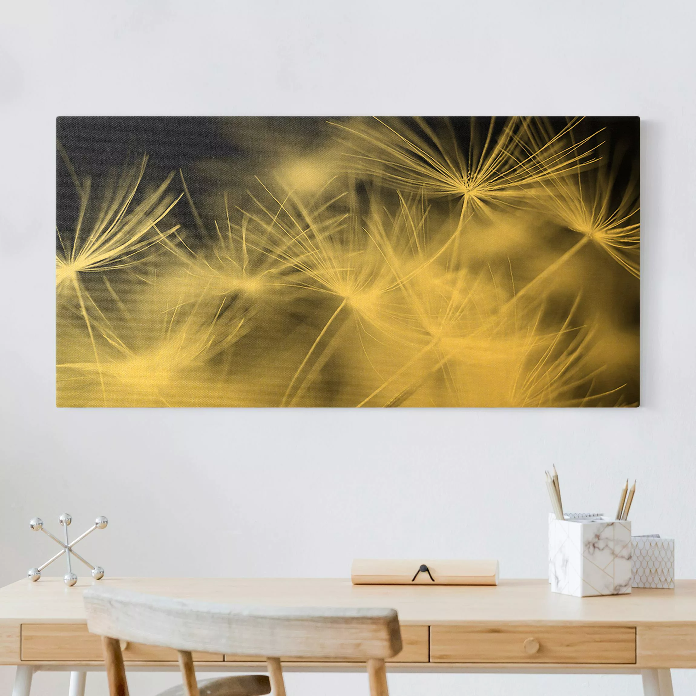Leinwandbild Bewegte Pusteblumen Nahaufnahme auf schwarzem Hintergrund günstig online kaufen