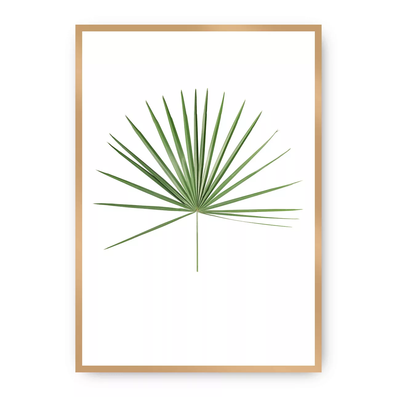 Poster Tropical Leaf Green, 50 x 70 cm, Rahmen wählen: gold günstig online kaufen