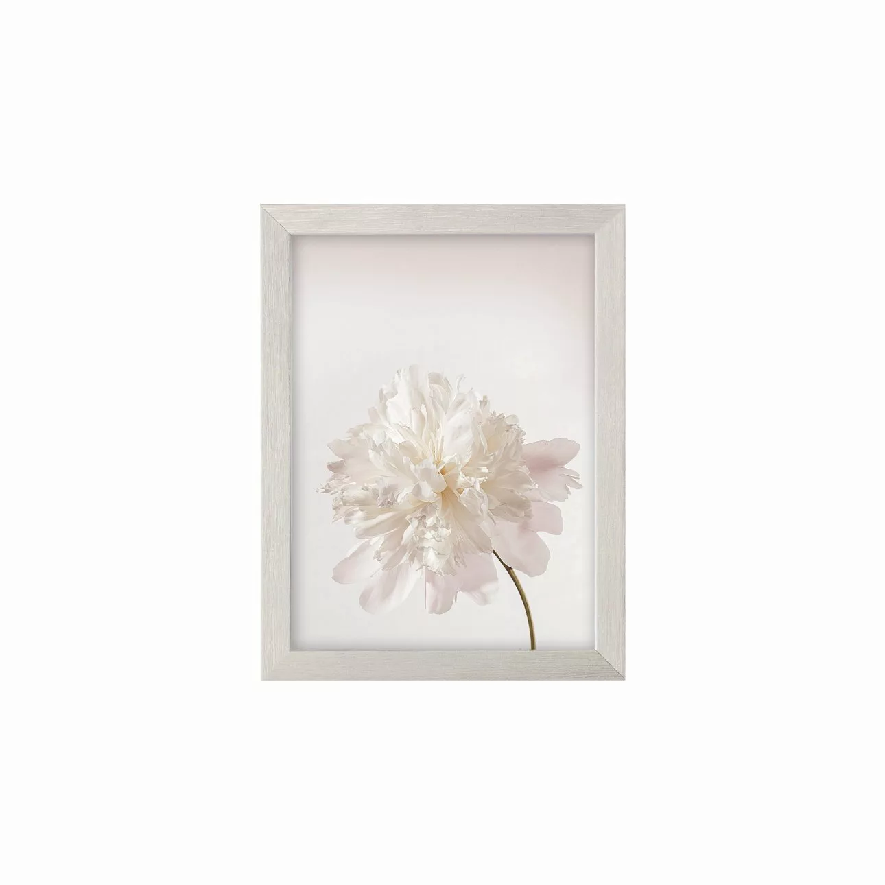 Wandbild Peony III 18x24cm silver, 18 x 24 cm günstig online kaufen