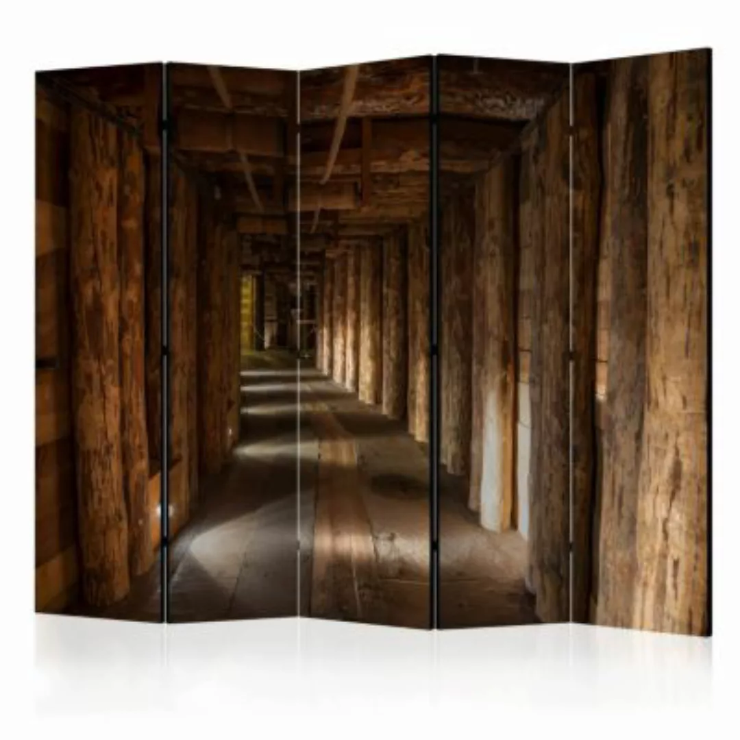 artgeist Paravent Wieliczka II [Room Dividers] braun Gr. 225 x 172 günstig online kaufen