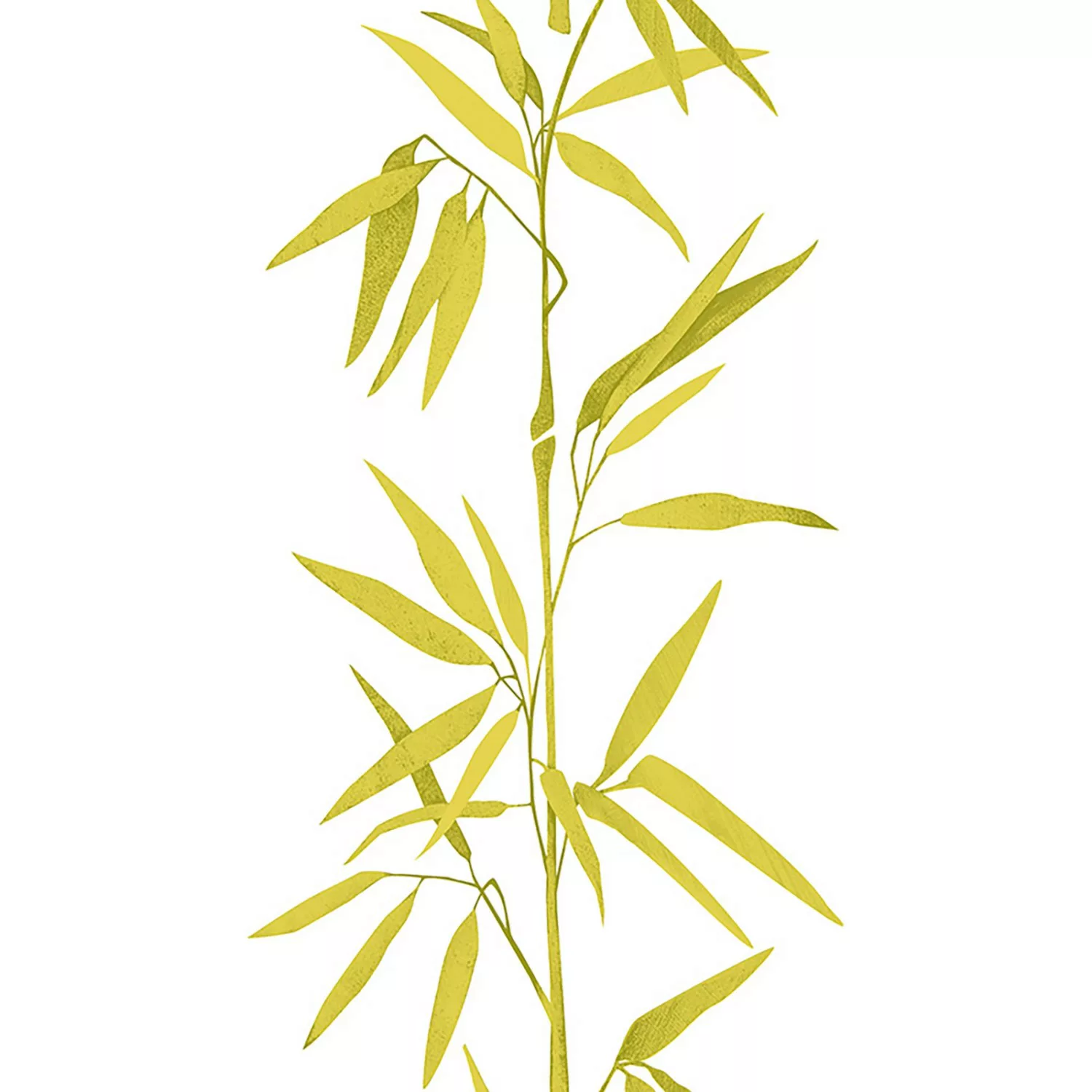 Bricoflor Bambus Tapete Weiß Grün Gold Asiatische Vinyltapete als Tapetenpa günstig online kaufen
