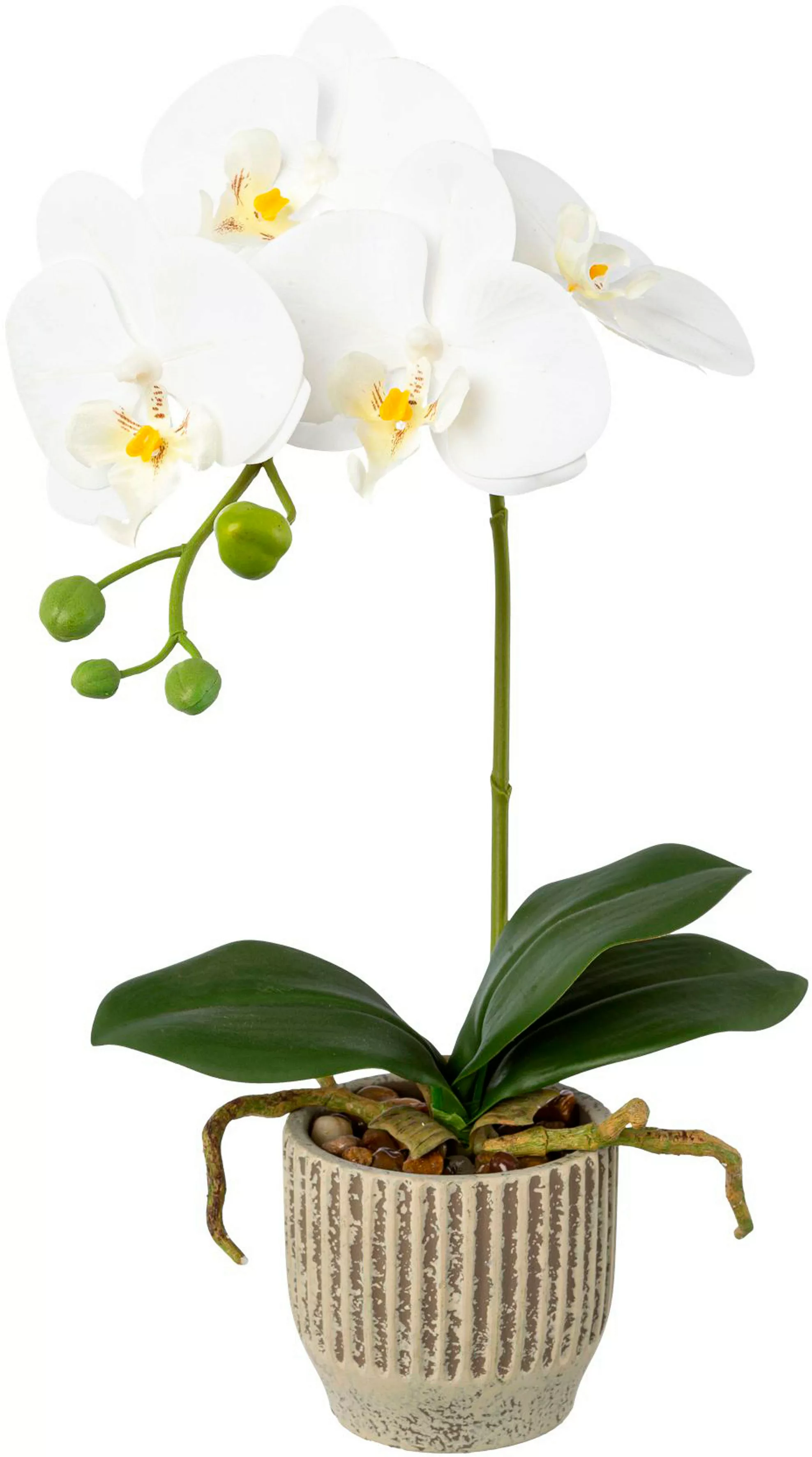 Creativ green Kunstorchidee "Orchidee Phalaenopsis im Keramiktopf" günstig online kaufen