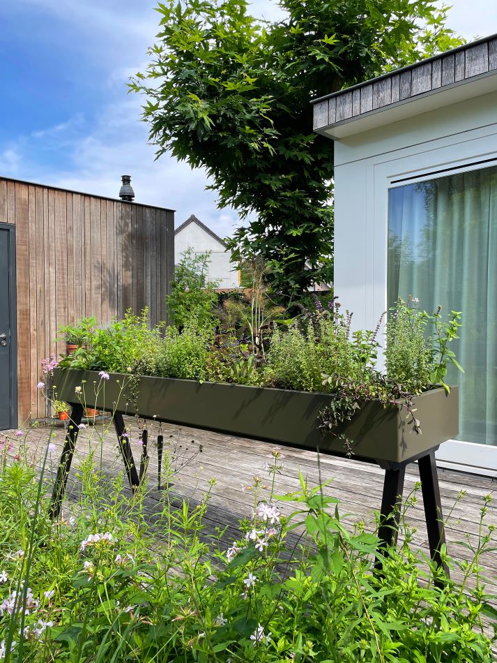 Gardenworks - Gemüse- und Pflanzbehälter günstig online kaufen