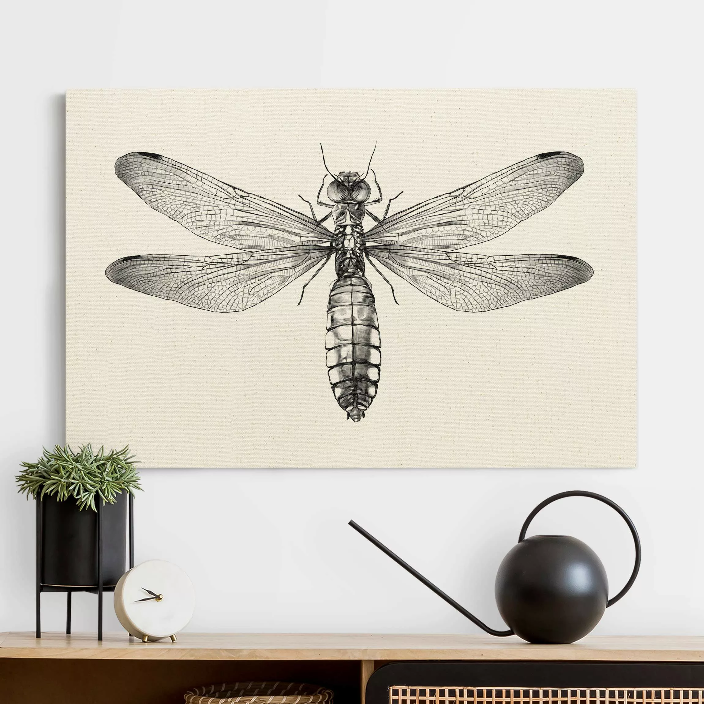 Leinwandbild auf Naturcanvas Illustration fliegende Libelle Schwarz günstig online kaufen
