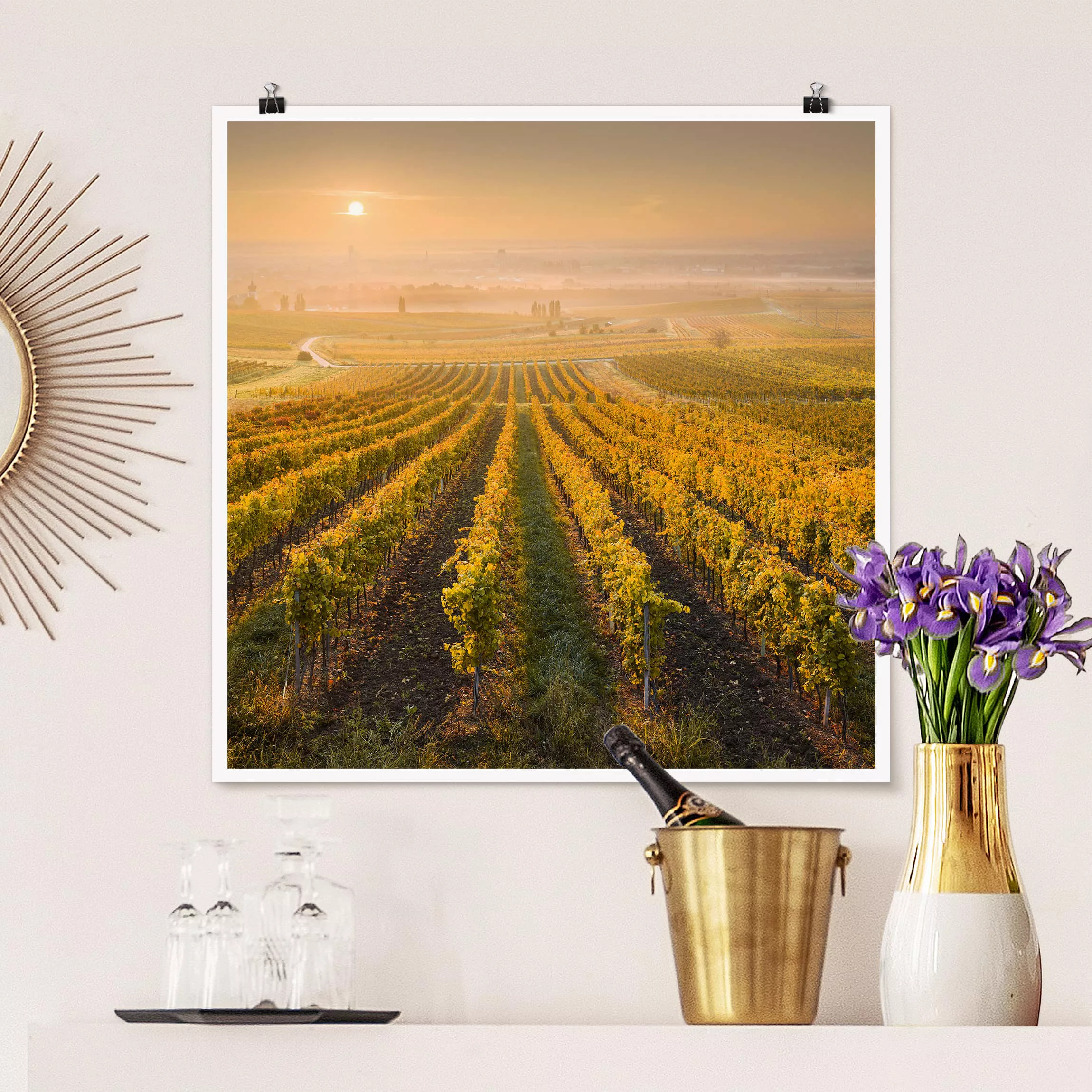 Poster Blumen - Quadrat Herbstliche Weinberge bei Wien günstig online kaufen