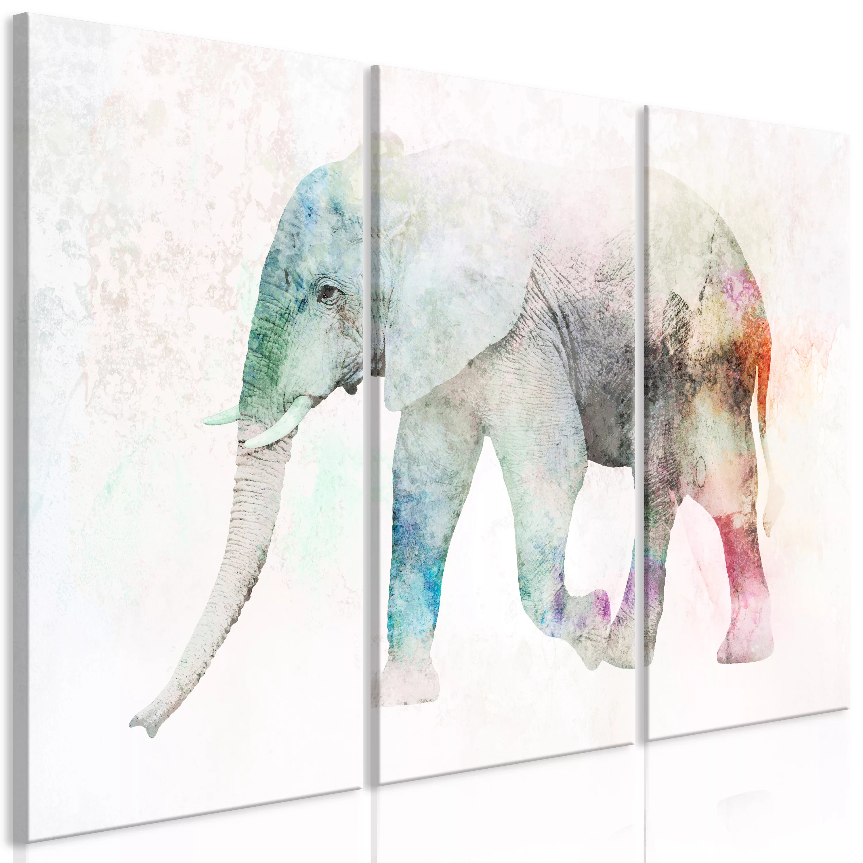 Wandbild - Painted Elephant (3 Parts) günstig online kaufen