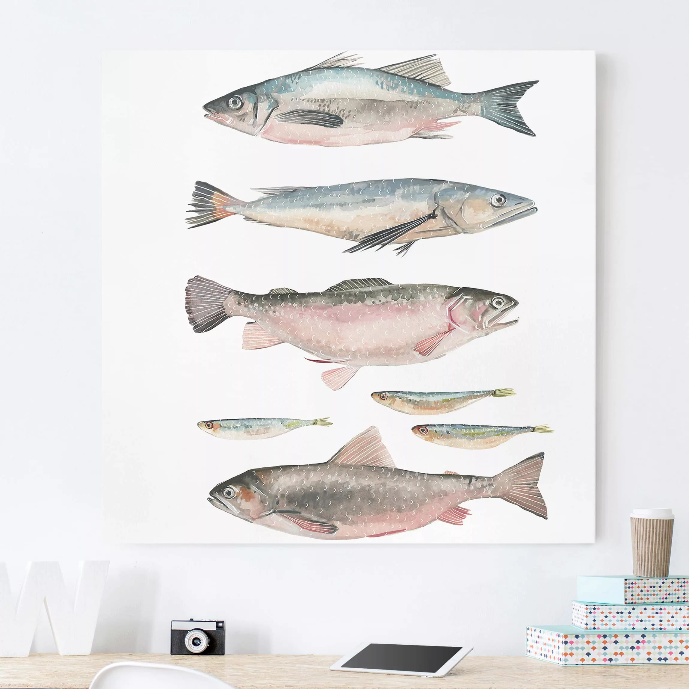 Leinwandbild Tiere - Quadrat Sieben Fische in Aquarell I günstig online kaufen