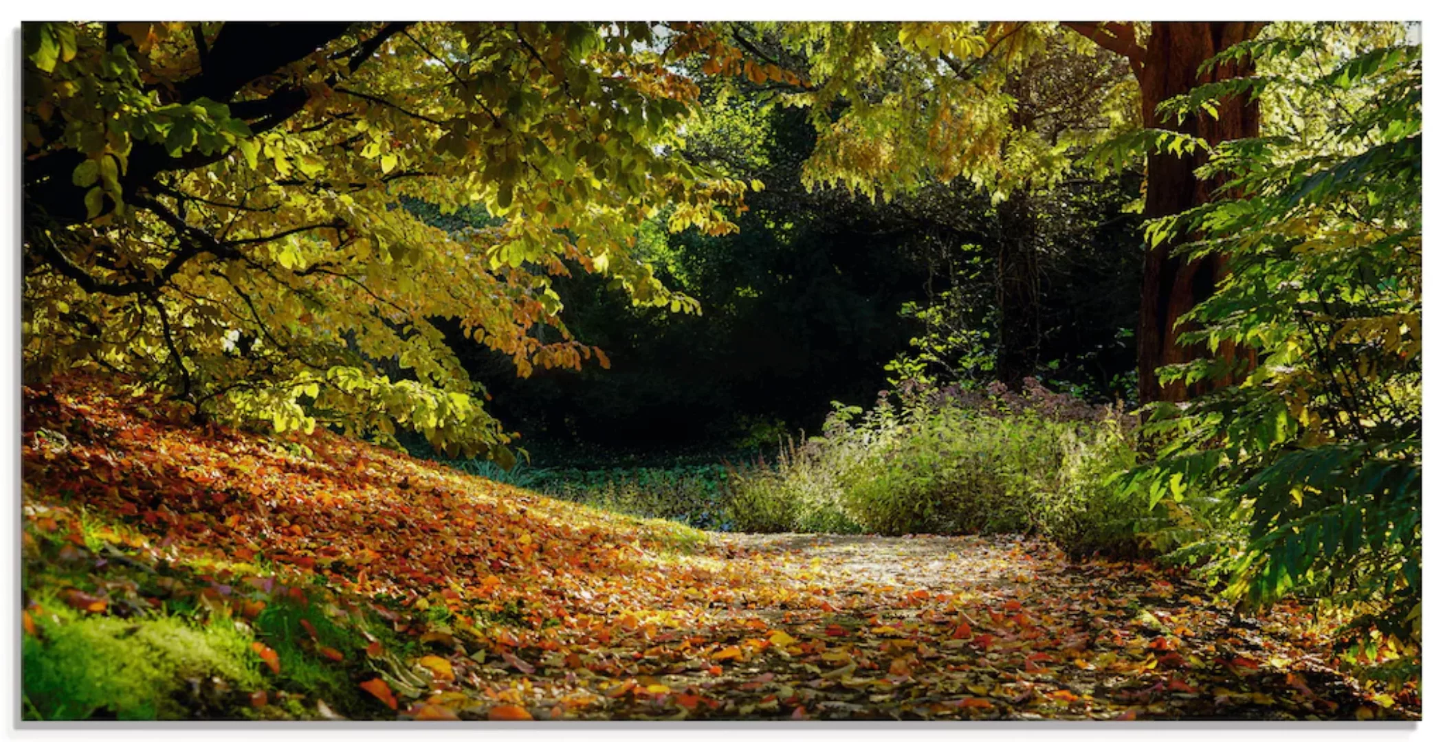 Artland Glasbild "Herbstteppich", Wald, (1 St.), in verschiedenen Größen günstig online kaufen