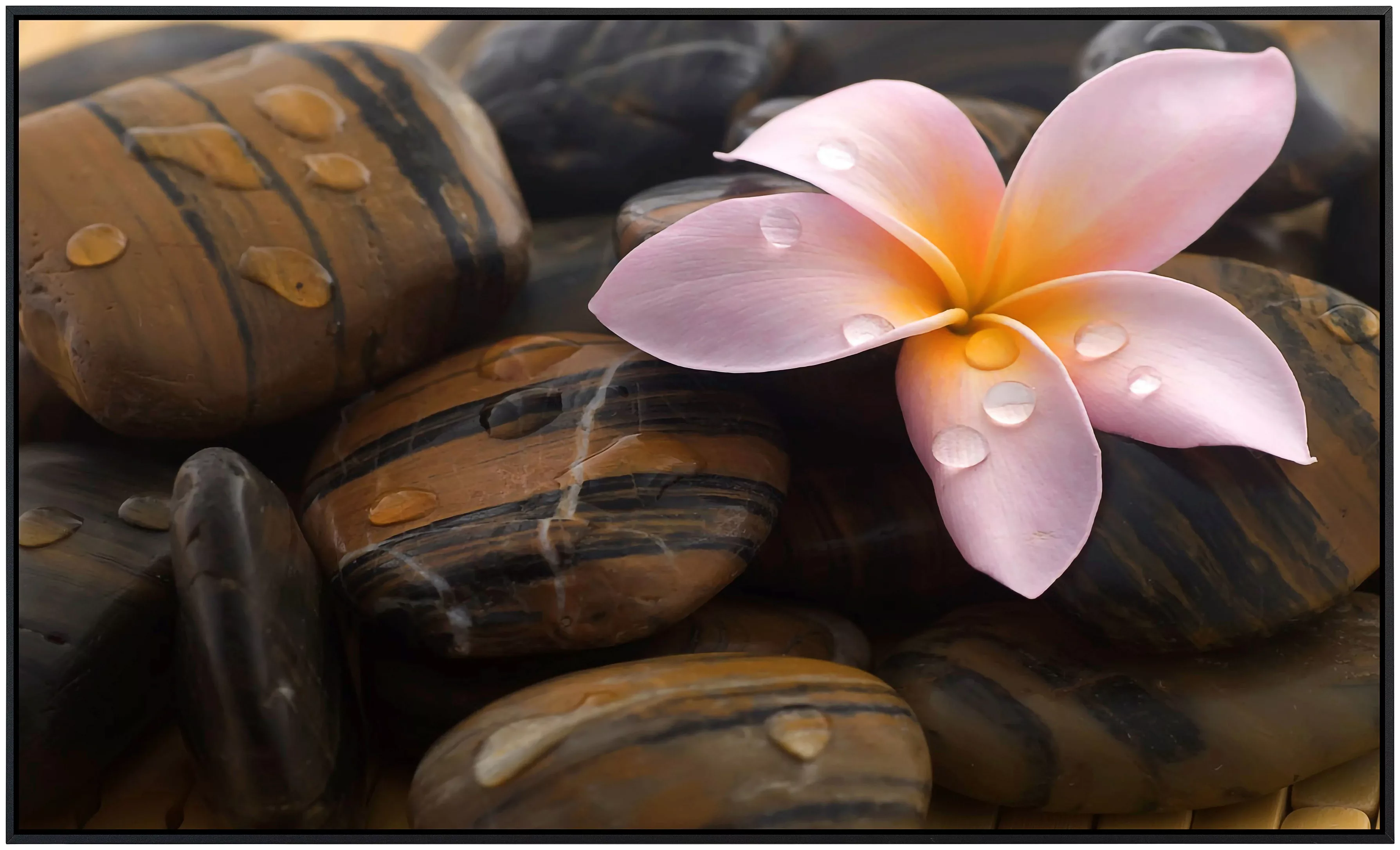 Papermoon Infrarotheizung »Steine mit Blume«, sehr angenehme Strahlungswärm günstig online kaufen