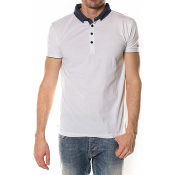 Deeluxe  Poloshirt 8882 günstig online kaufen