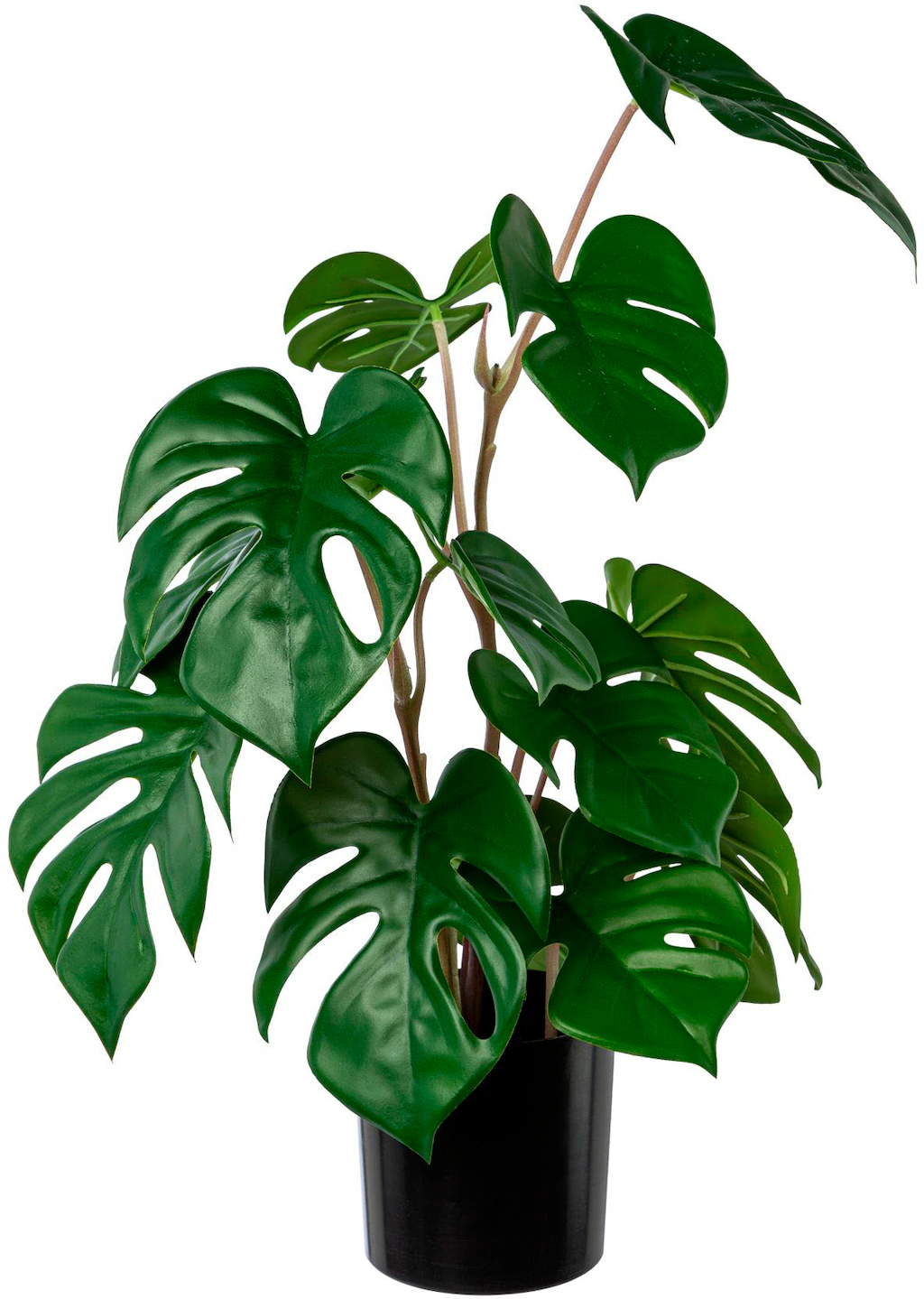 Creativ green Künstliche Zimmerpflanze "Split-Philodendron-Pflanze" günstig online kaufen