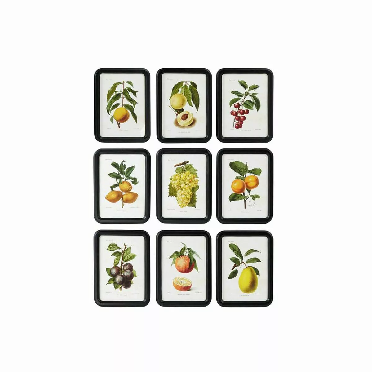 Bild Dkd Home Decor Moderne Obst (30 X 2 X 40 Cm) (9 Stück) günstig online kaufen