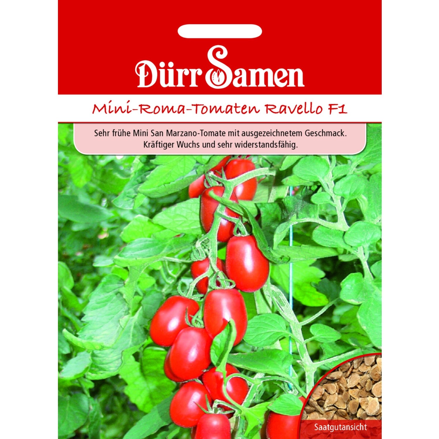 Dürr Samen Roma-Tomaten Ravello F1 Saatgut günstig online kaufen