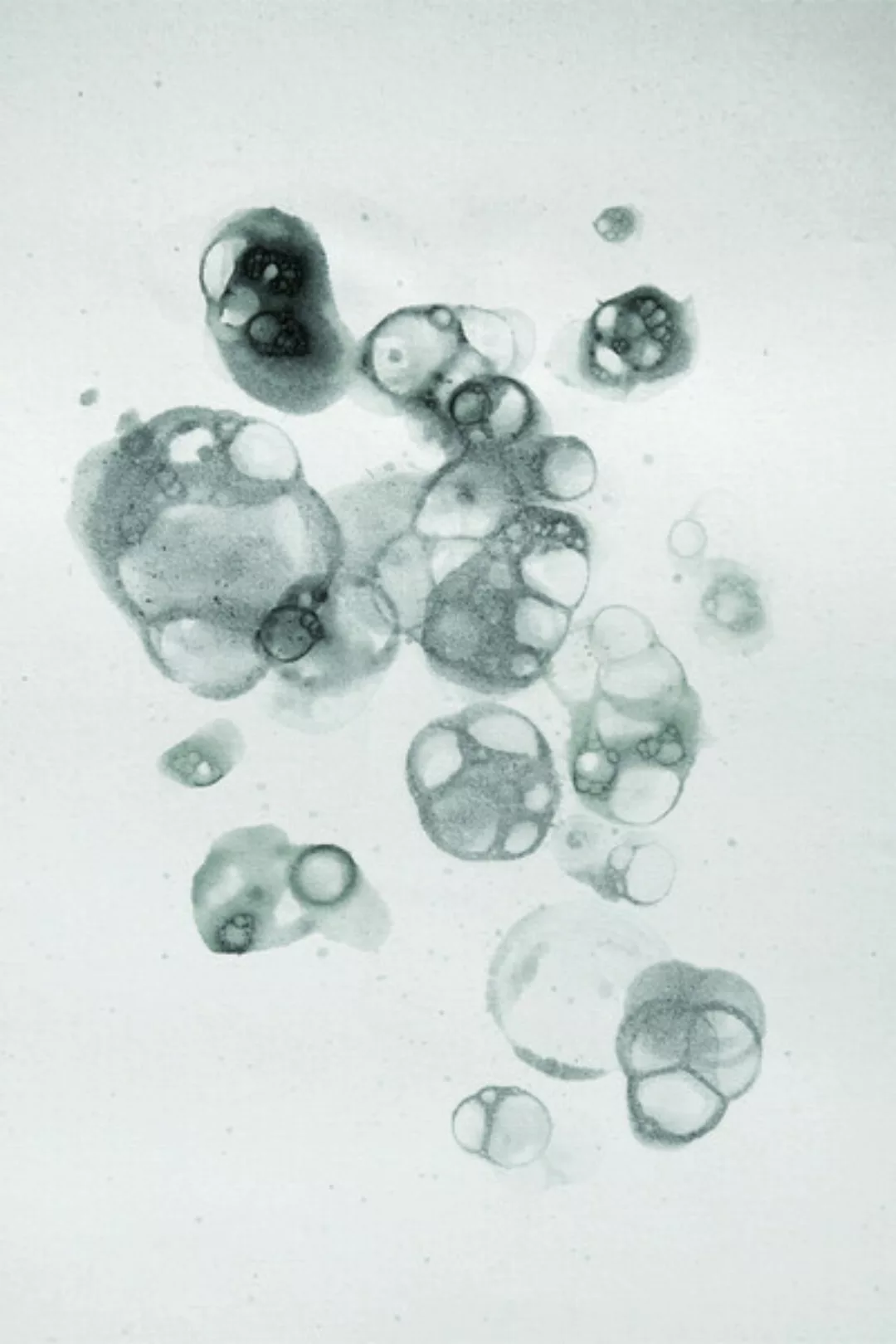Poster / Leinwandbild - Aquarelle Bubbles - Black günstig online kaufen