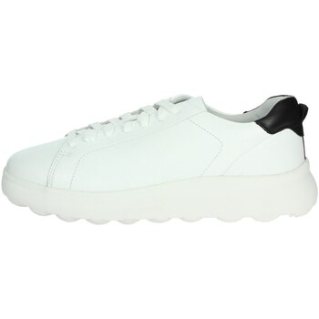 Geox  Sneaker U36FUA 00085 günstig online kaufen
