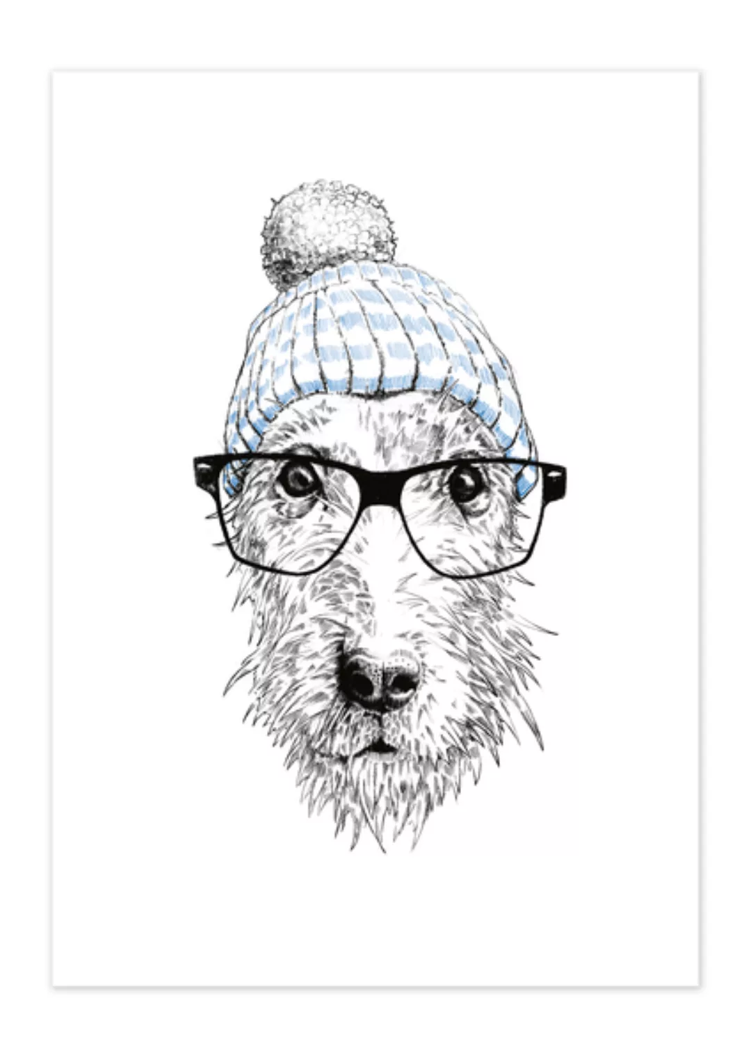 Poster Animal Dog Glasses Matt günstig online kaufen