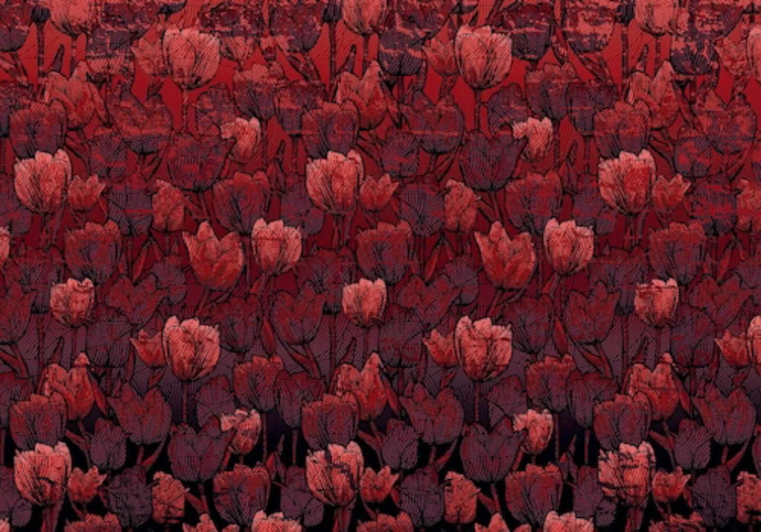 KOMAR Vlies Fototapete - Tulipe - Größe 400 x 280 cm mehrfarbig günstig online kaufen