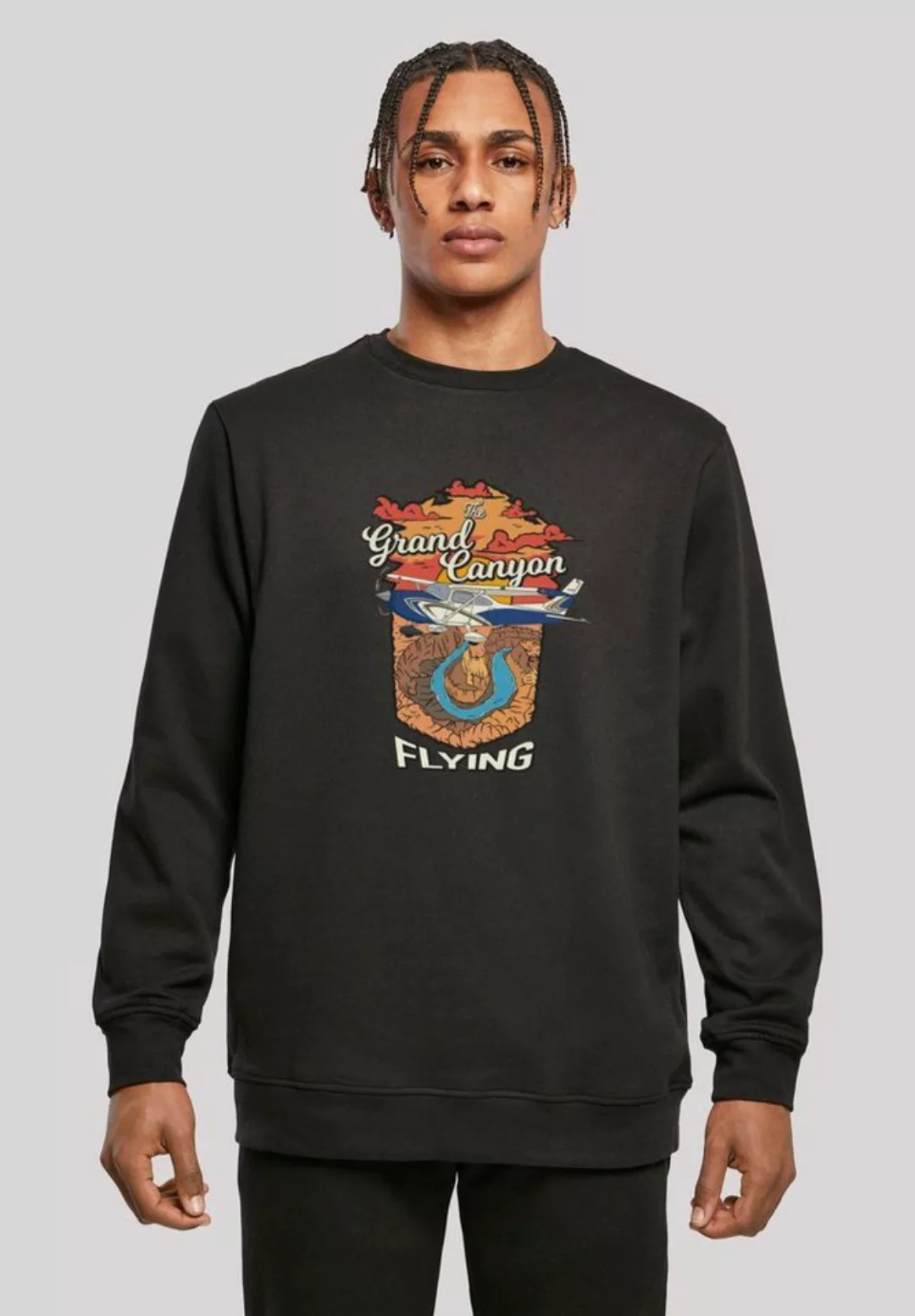 F4NT4STIC Kapuzenpullover "Grand Canyon Flying", Print günstig online kaufen