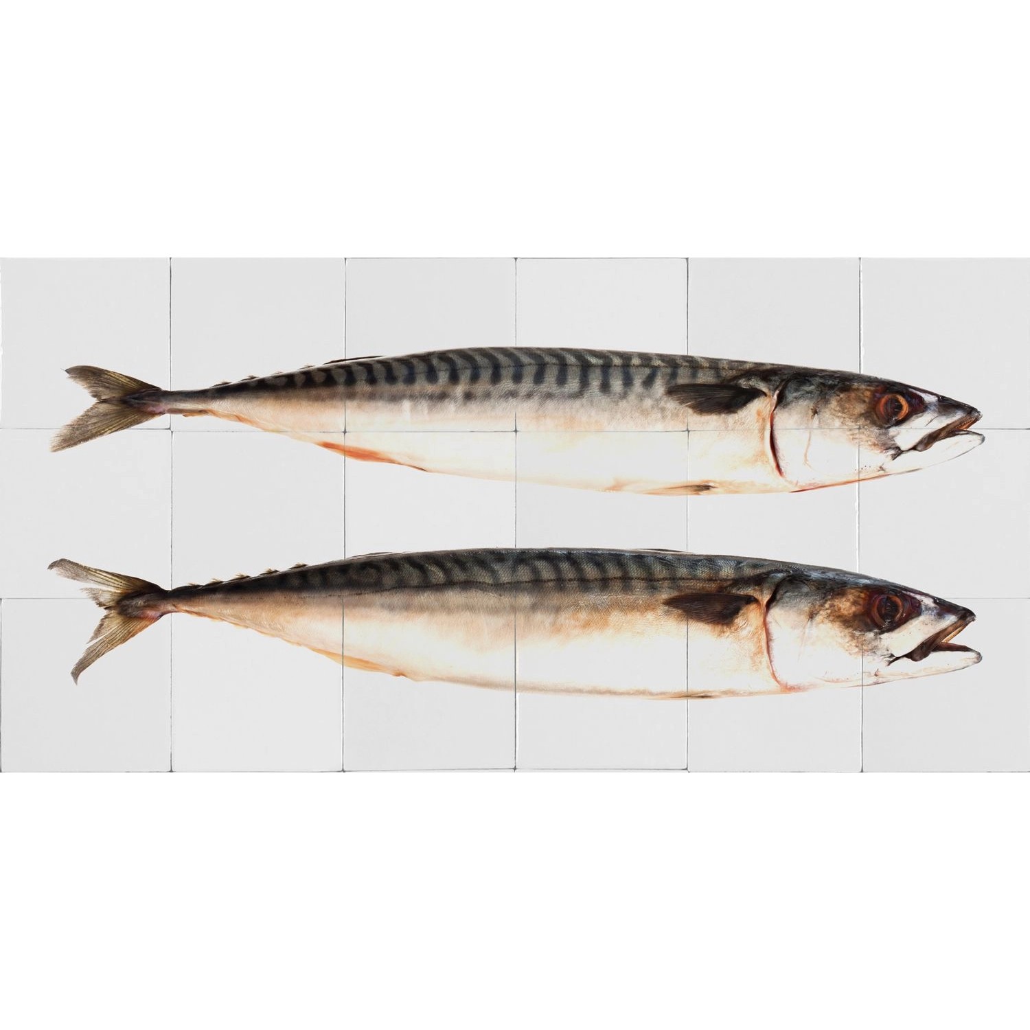 ESTAhome Wandtattoo Fische Grau 97 x 48,5 cm 159030 günstig online kaufen