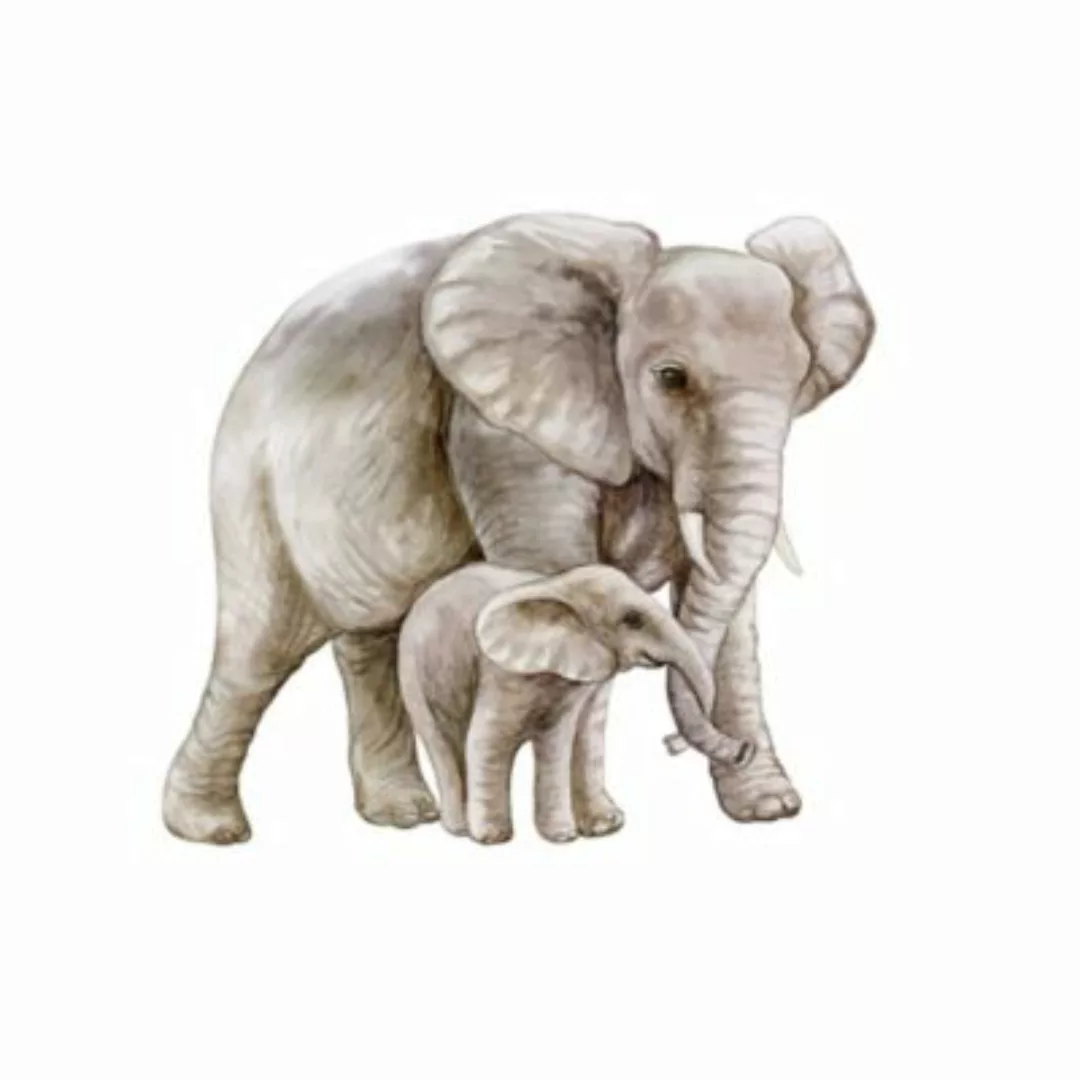 Milan Moon Wandbild Baby Elefant weiß Gr. 40 x 50 günstig online kaufen