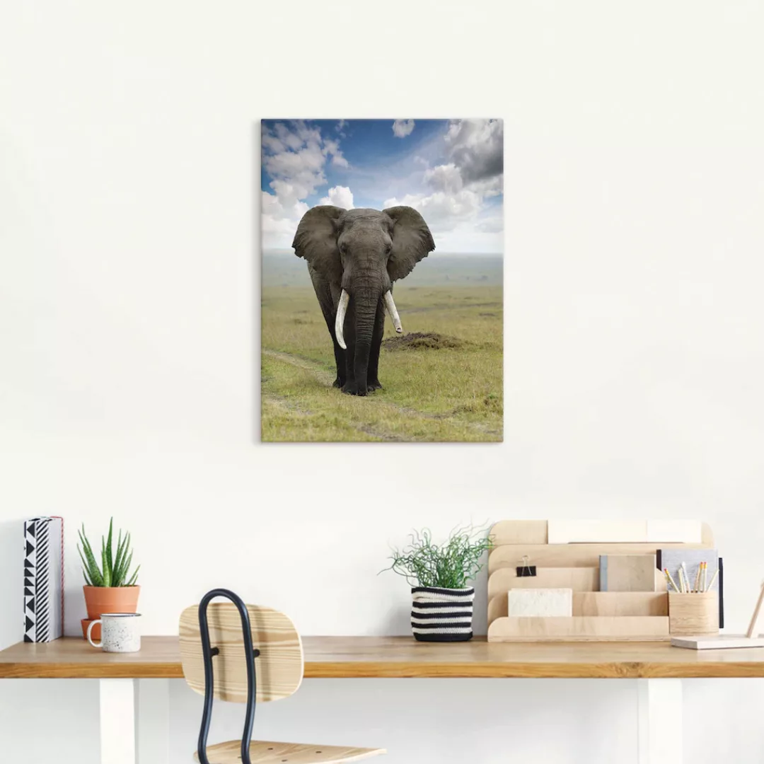 Artland Wandbild »Elefant«, Wildtiere, (1 St.), als Alubild, Outdoorbild, L günstig online kaufen
