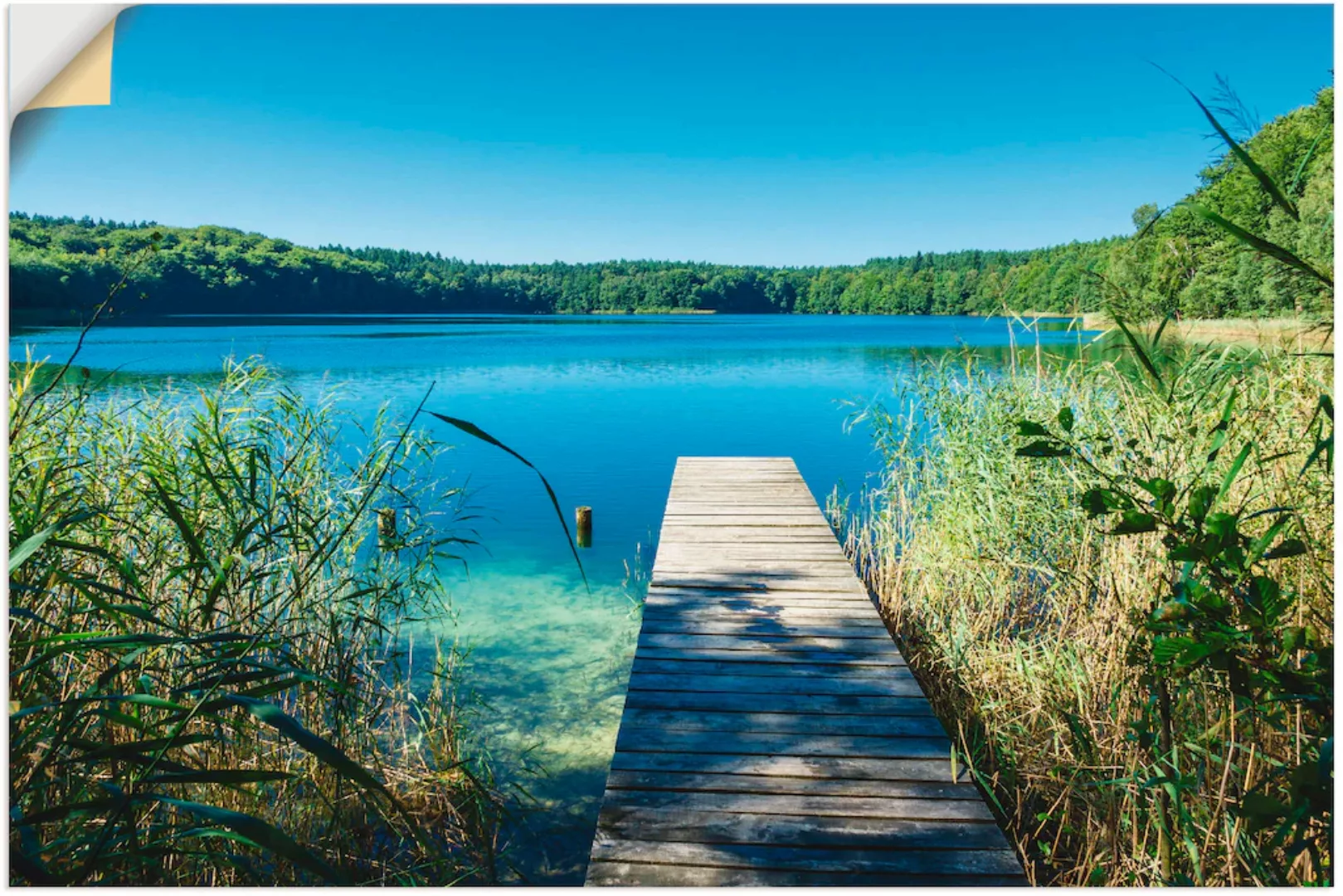 Artland Wandbild "Landschaft am See Steg", Gewässer, (1 St.), als Poster, W günstig online kaufen