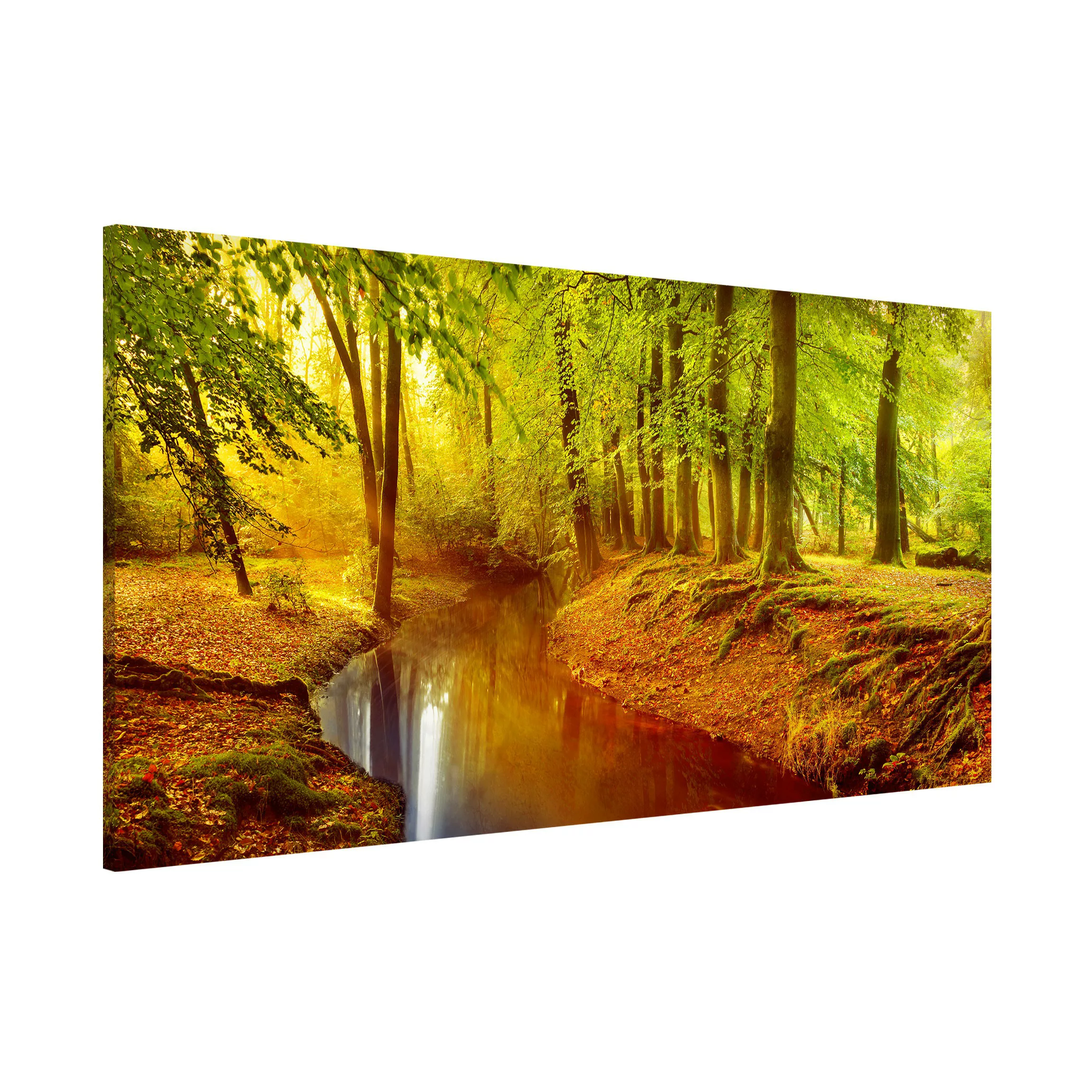 Magnettafel Natur & Landschaft - Querformat 2:1 Herbstwald günstig online kaufen