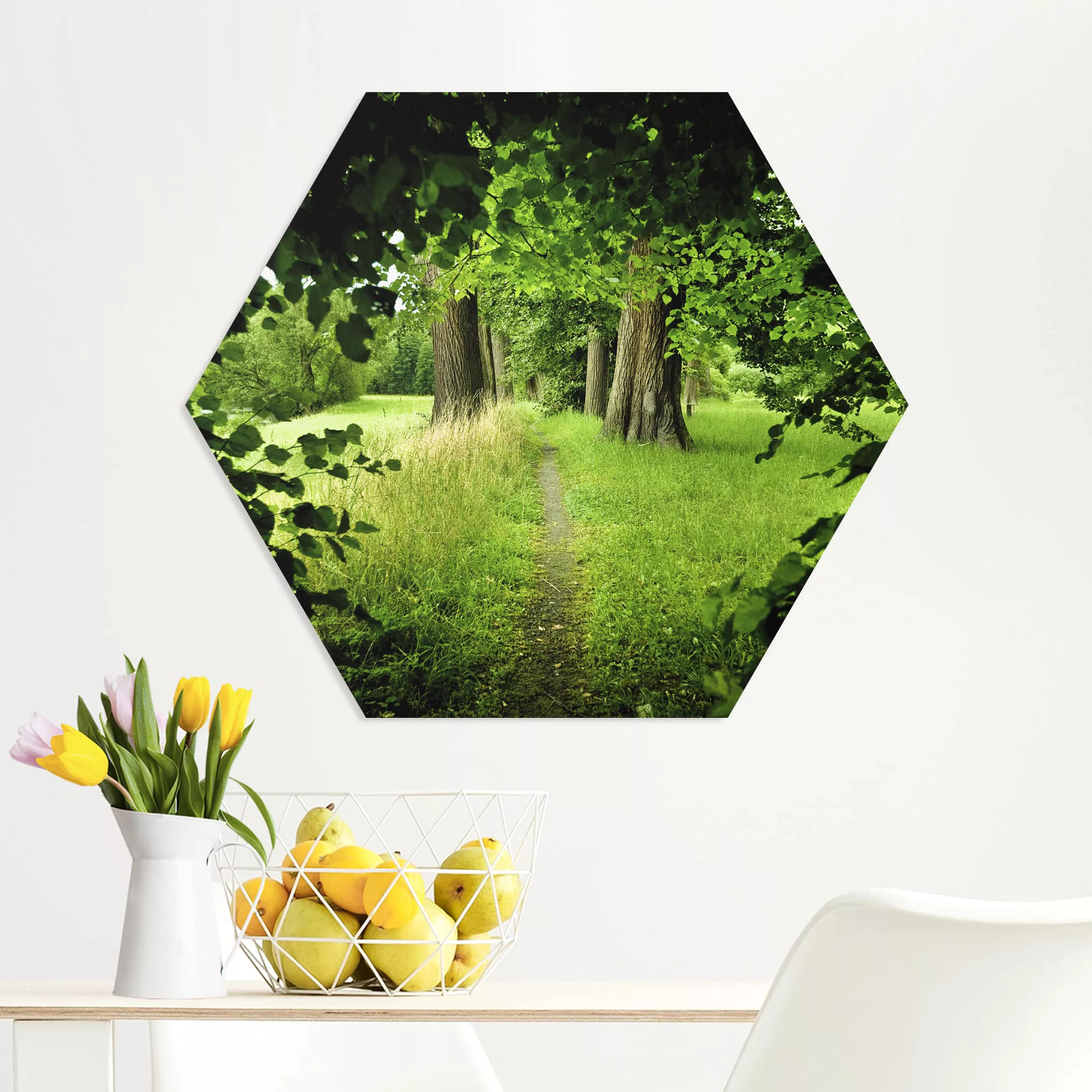 Hexagon-Forexbild Verborgene Lichtung günstig online kaufen