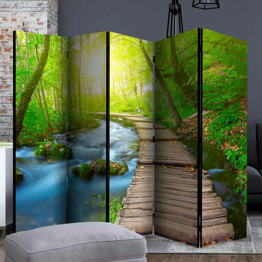 Indoor Sichtschutzwand mit Wald Motiv Leinwandfüllung günstig online kaufen