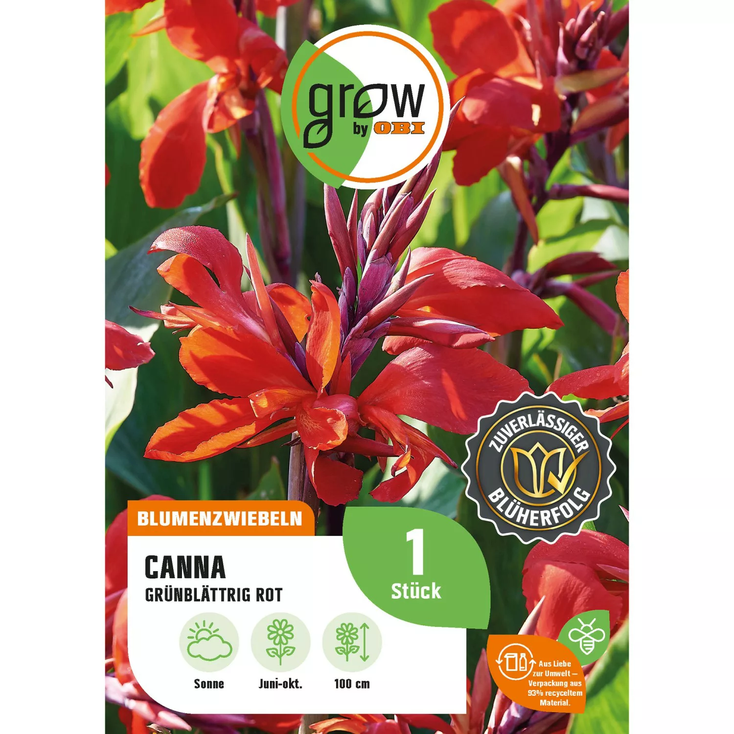 GROW by OBI Canna Grünblättrig Rot Höhe ca. 100 cm Canna indica günstig online kaufen