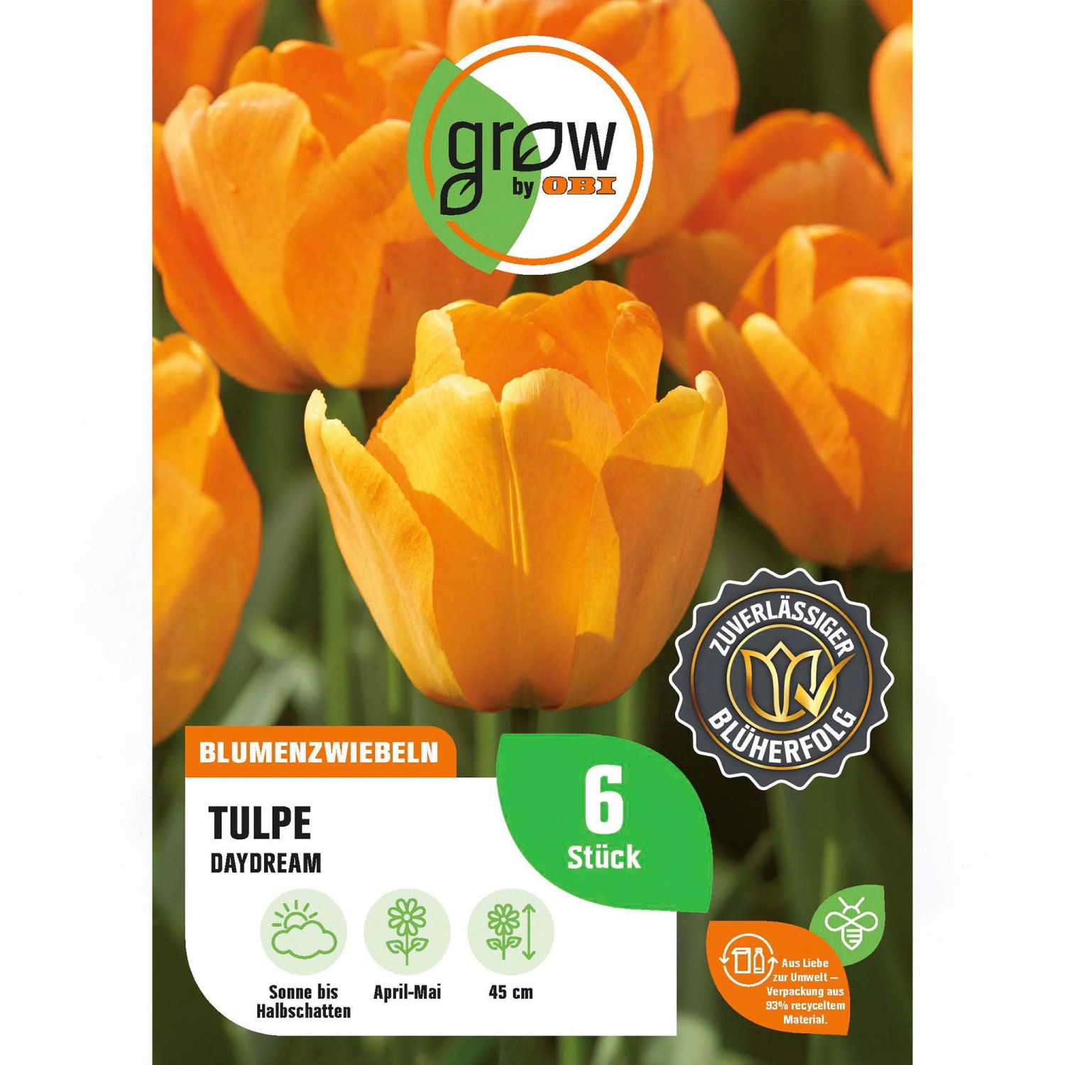 GROW by OBI Tulpe Daydream Orange 6 Stk Tulipa Darwin hybrid Daydream günstig online kaufen