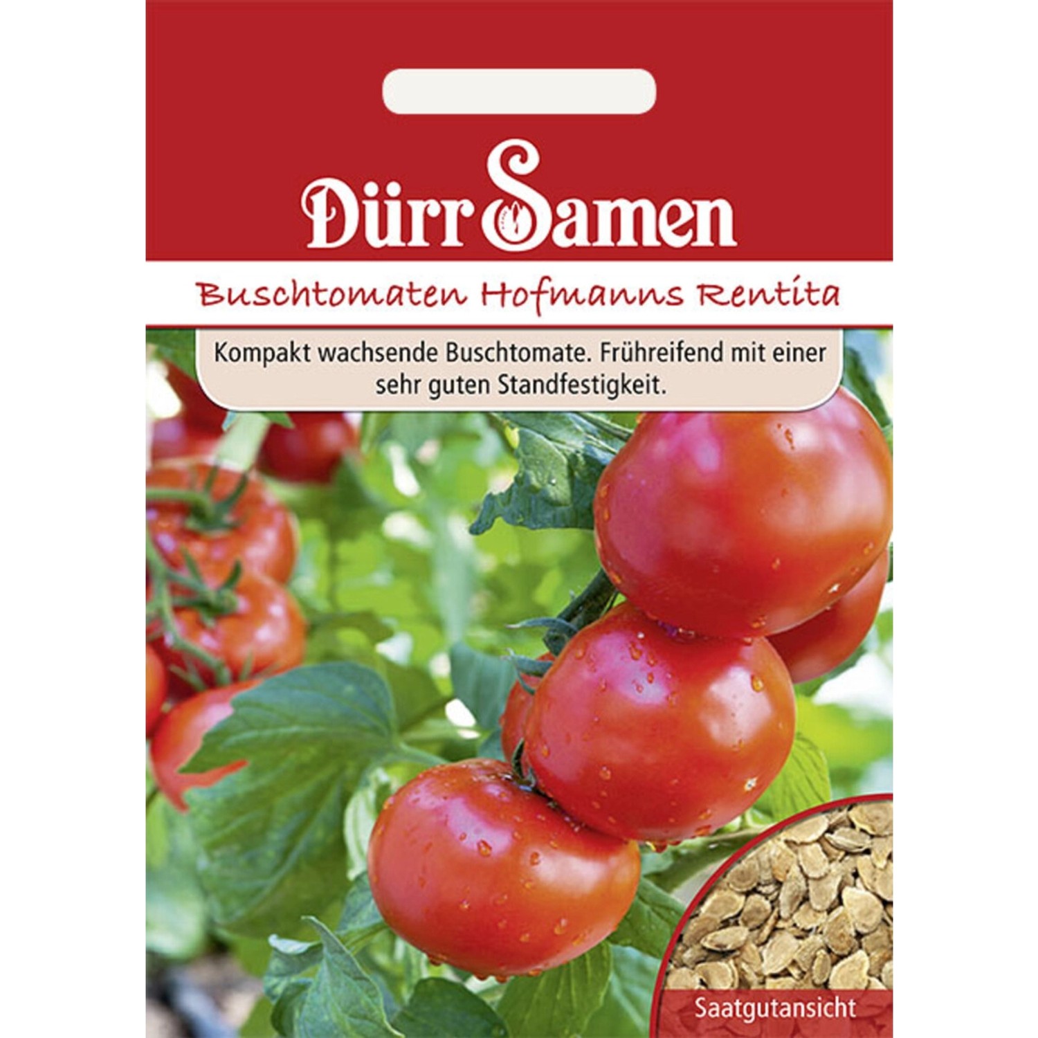 Dürr Samen Buschtomaten Hofmanns Rentita Saatgut günstig online kaufen