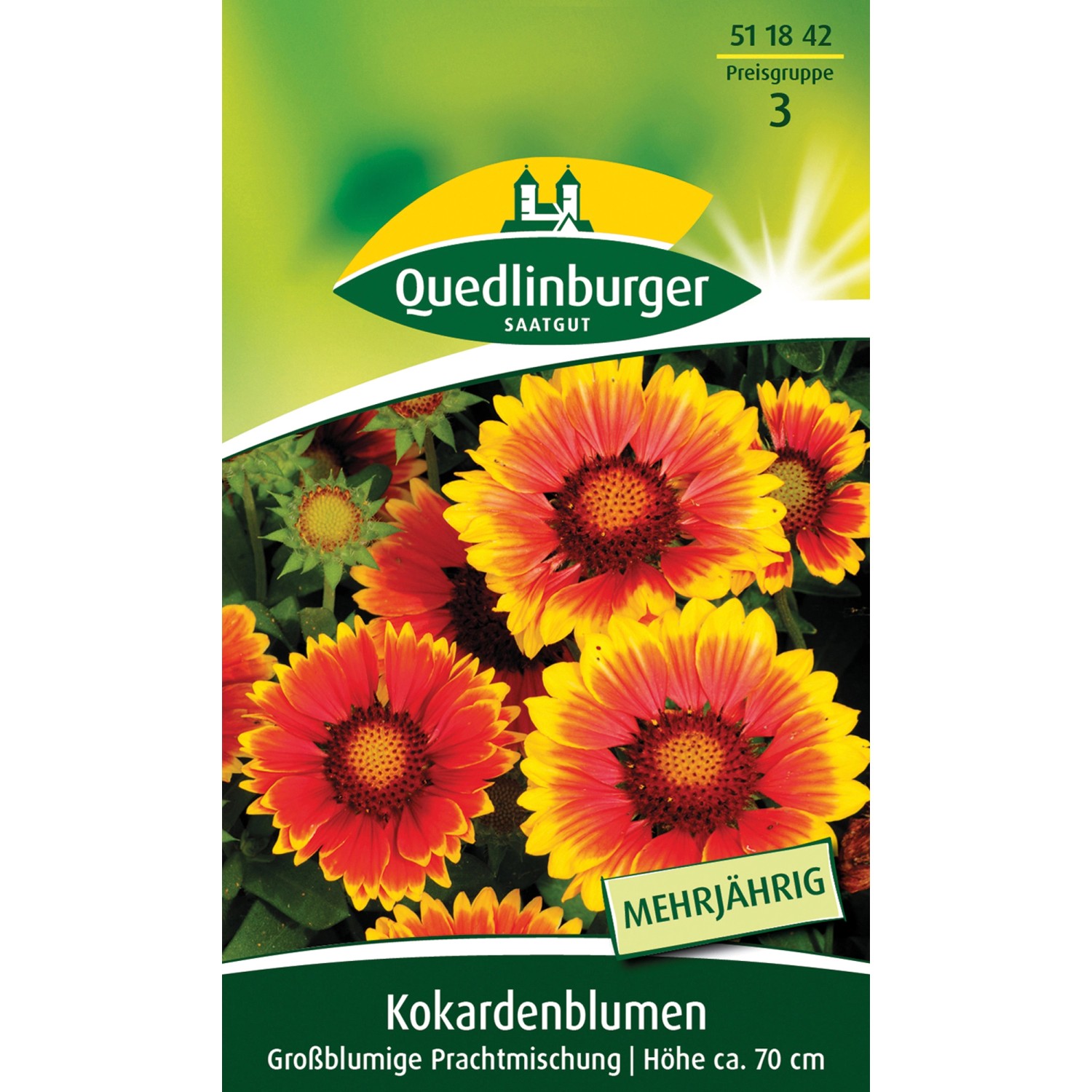 Quedlinburger Kokardenblume ''großblumige Prachtmischung'' günstig online kaufen