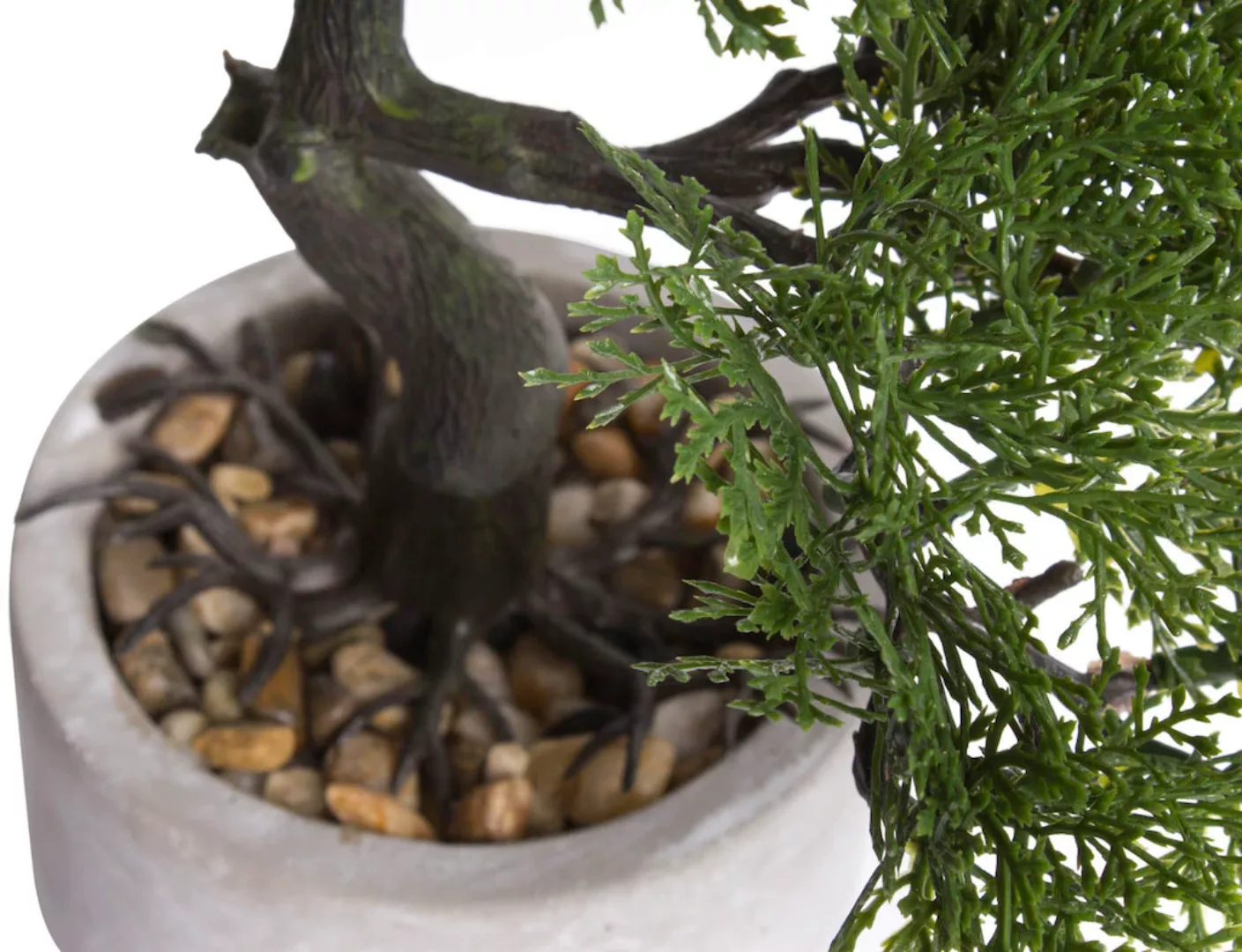 Botanic-Haus Kunstbonsai "Ceder Bonsai" günstig online kaufen