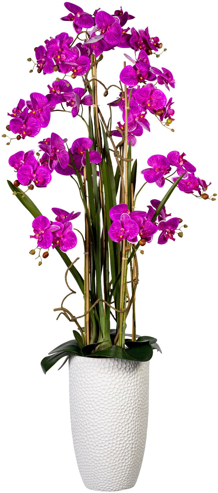 Creativ green Kunstorchidee "Deko-Orchidee Phalaenopsis XXL im Keramiktopf" günstig online kaufen