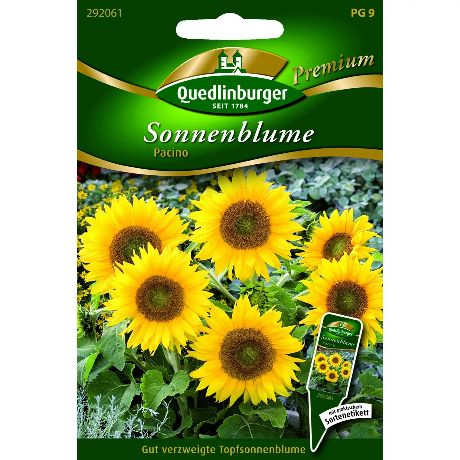 Quedlinburger Sonnenblume ''Pacino'' günstig online kaufen