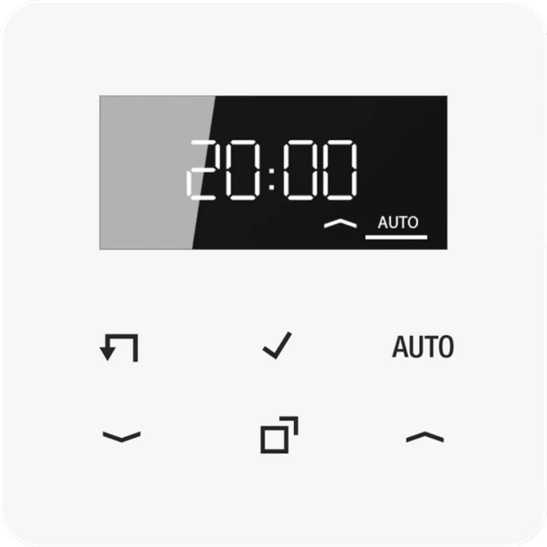 Jung Timer Standard, Display Echtglasfront CD 1750 D WW günstig online kaufen