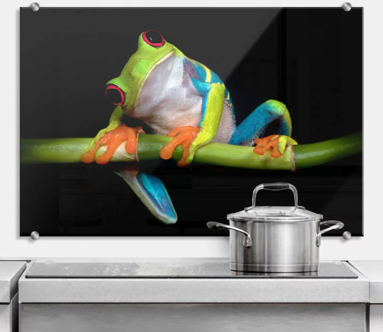 Wall-Art Küchenrückwand "Spritzschutz Frisch Green Frog", (1 tlg.) günstig online kaufen