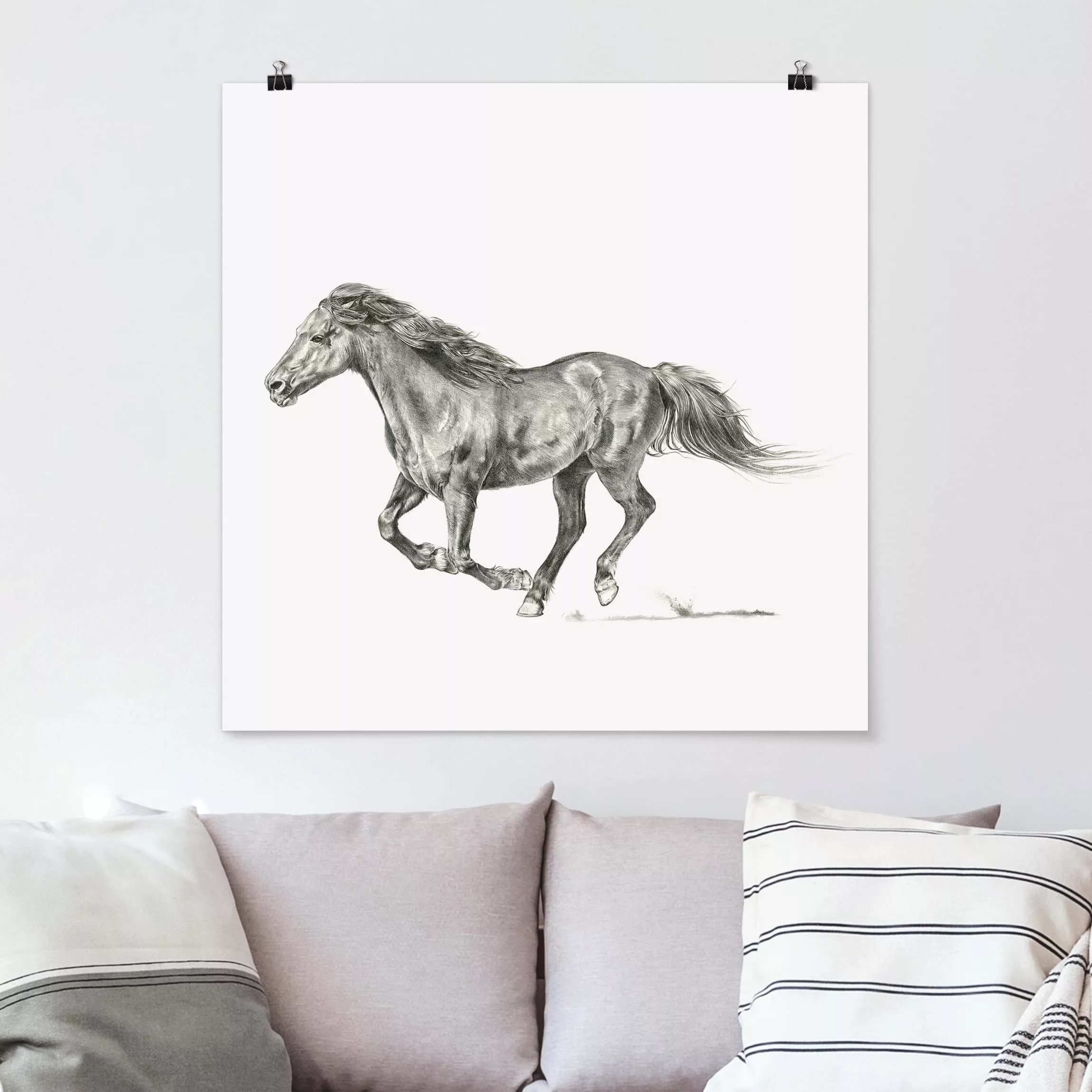 Poster Tiere - Quadrat Wildpferd-Studie - Stute günstig online kaufen