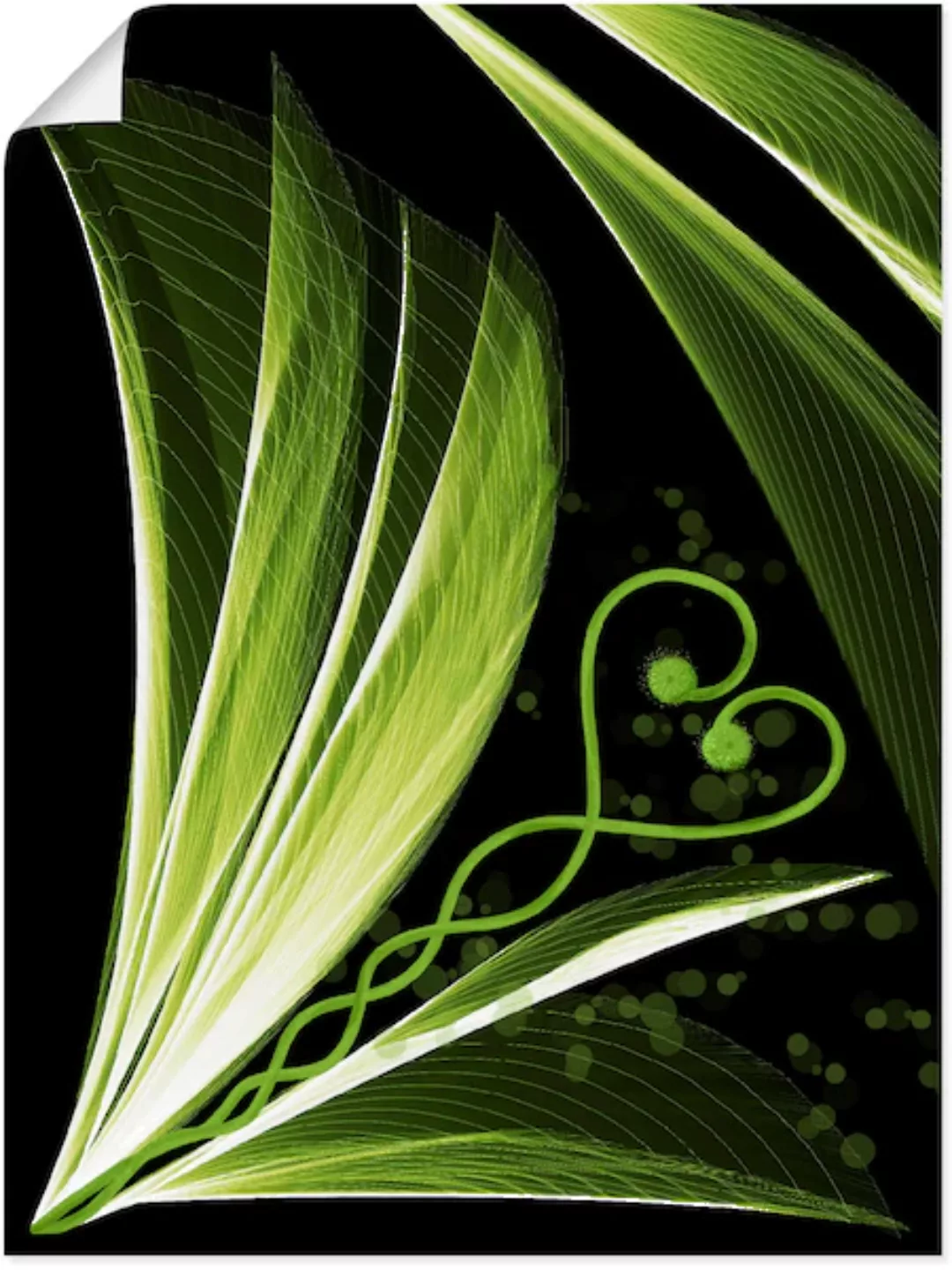 Artland Poster "Grünes Herzblatt dekorativ", Spa Bilder, (1 St.) günstig online kaufen