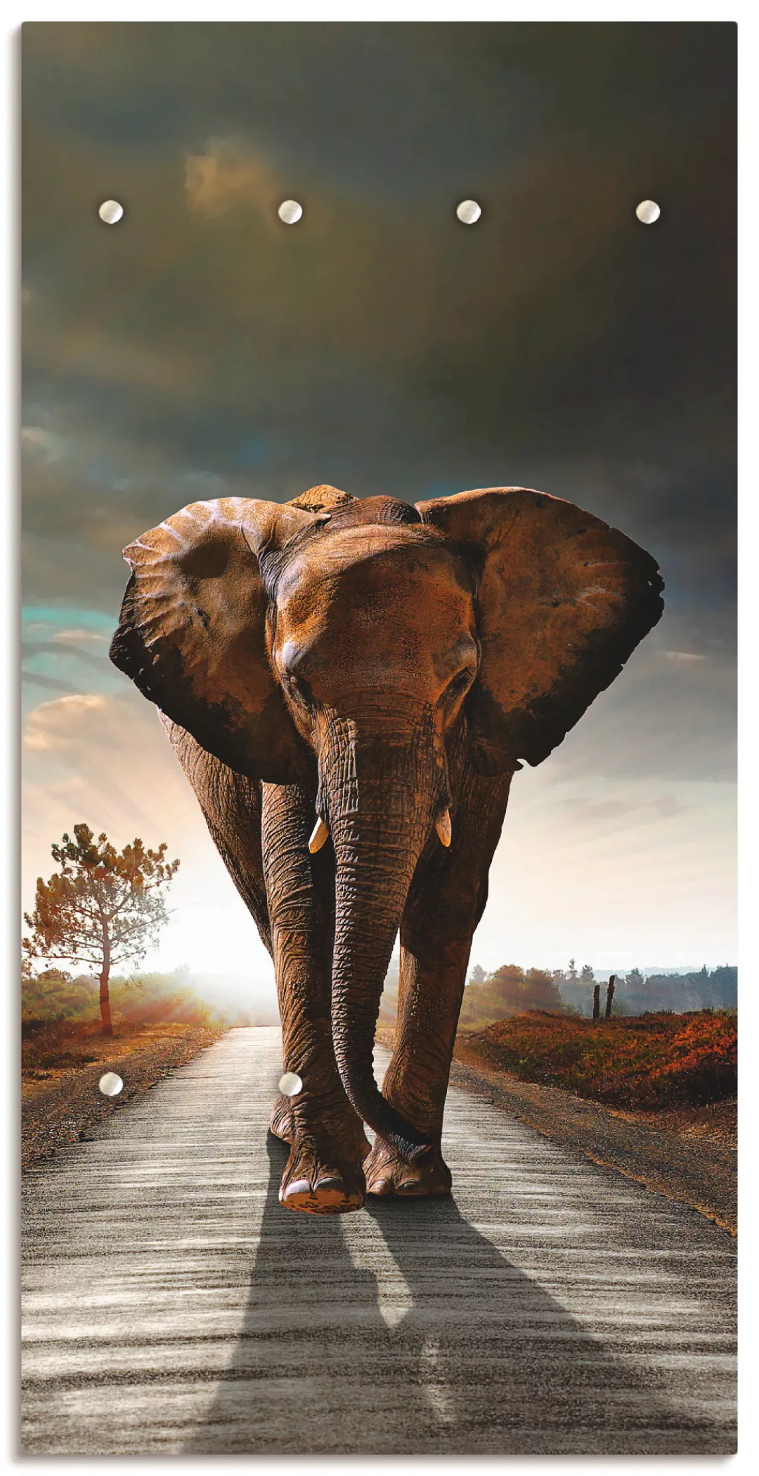 Artland Garderobenleiste "Ein Elefant läuft auf der Straße" günstig online kaufen