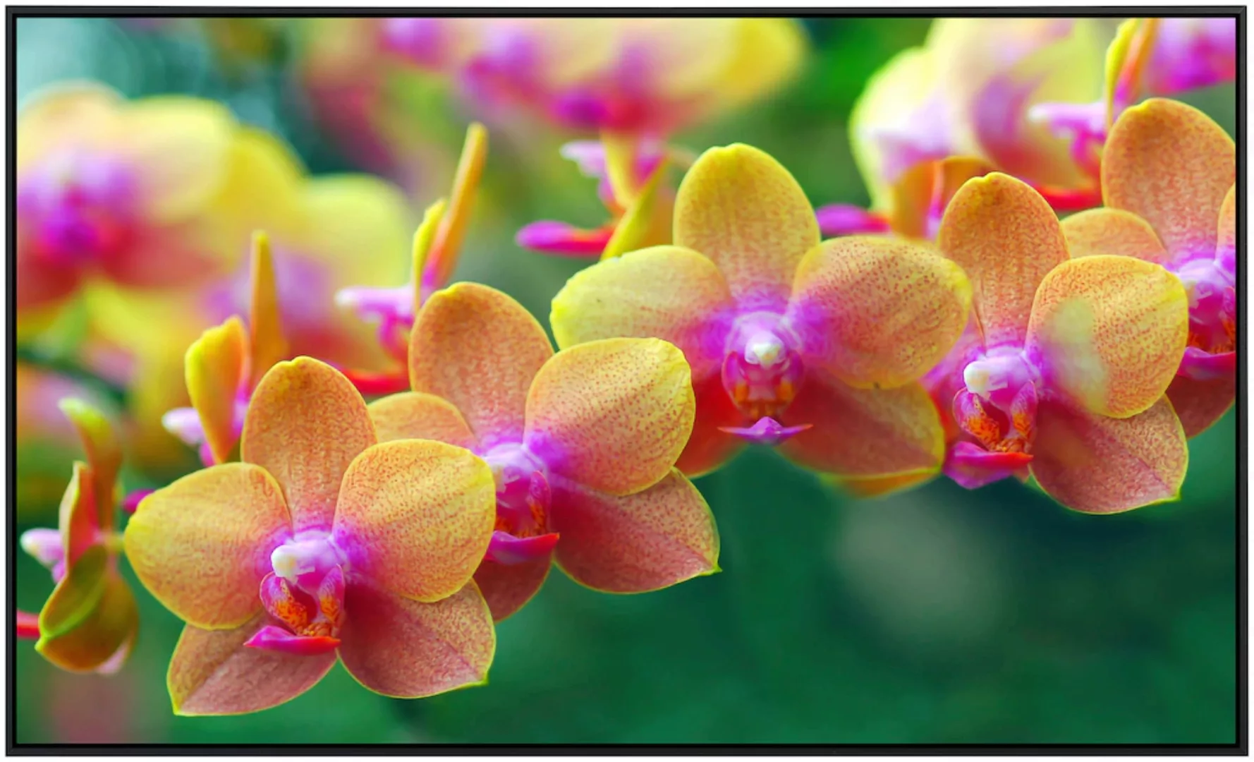 Papermoon Infrarotheizung »Goldene Orchideen«, sehr angenehme Strahlungswär günstig online kaufen