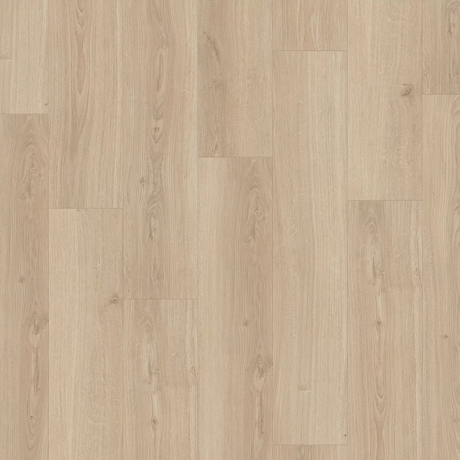 Parador Laminat Basic 600 Eiche Studioline pure Breite Landhausdiele 4-V-Fu günstig online kaufen