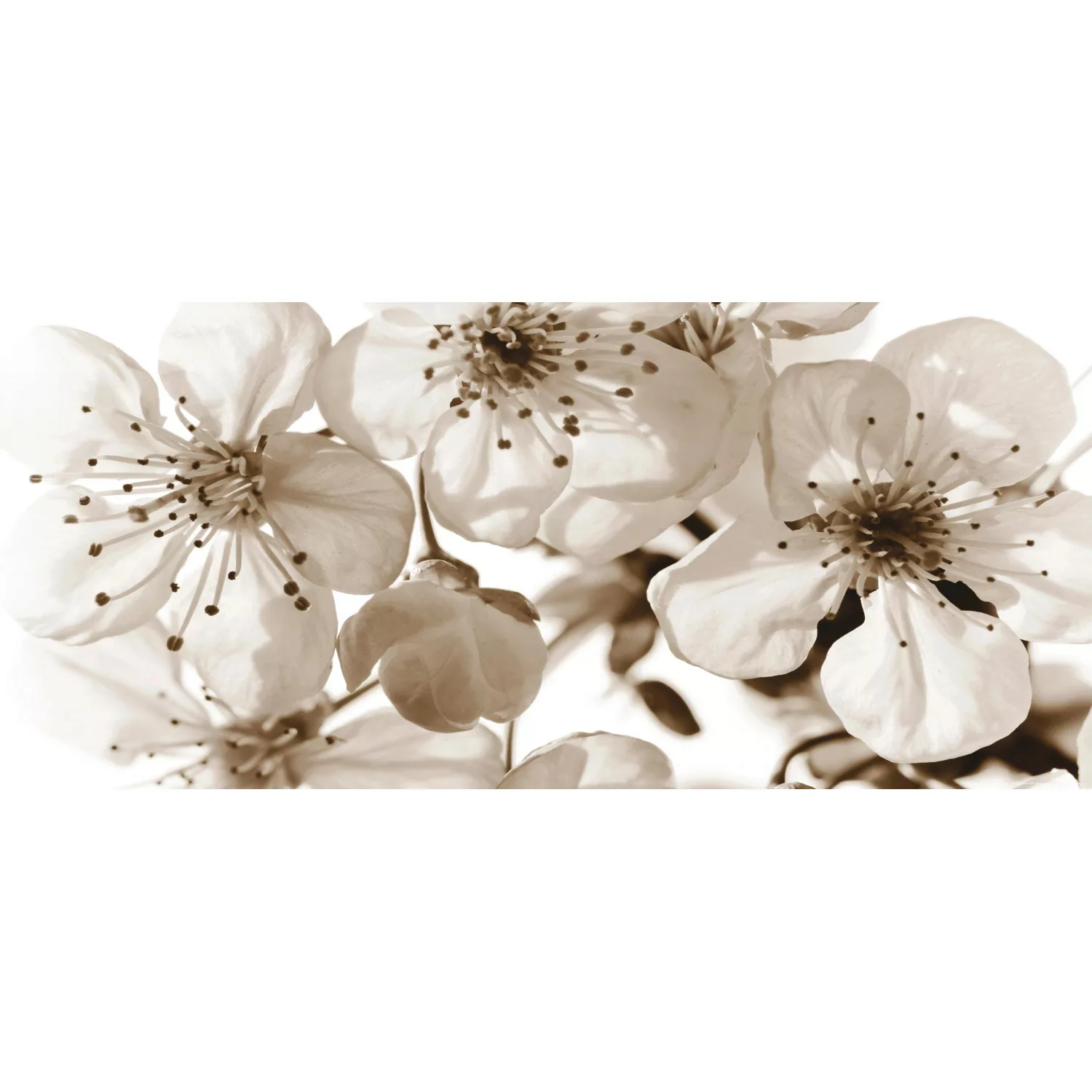 Sanders & Sanders Poster Blumen Beige 202 x 90 cm 600915 günstig online kaufen