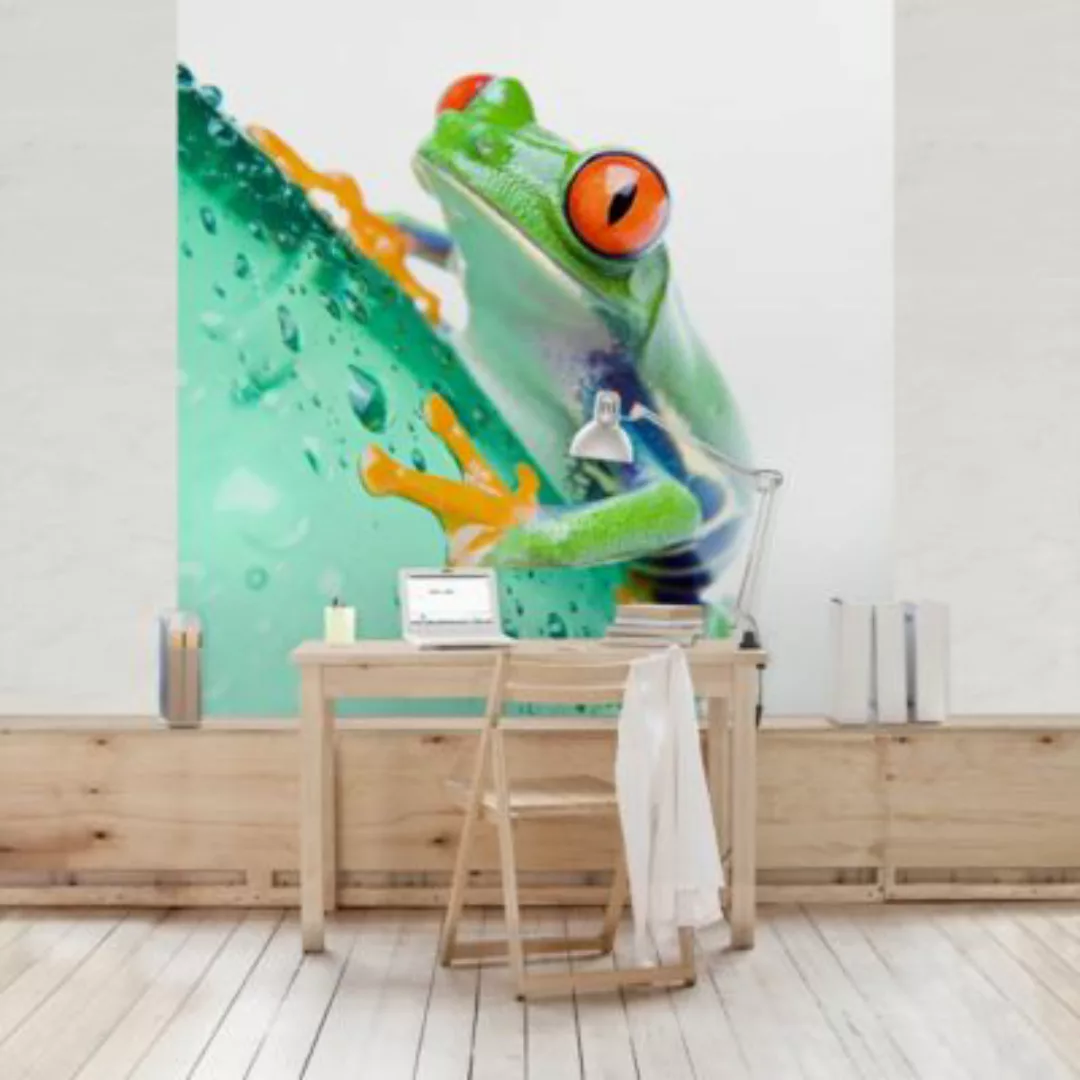 Bilderwelten Kindertapete Zebra Frog grün Gr. 192 x 192 günstig online kaufen