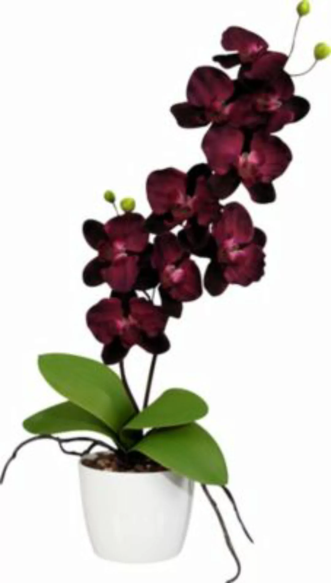 Kunstpflanze Orchidee beere günstig online kaufen