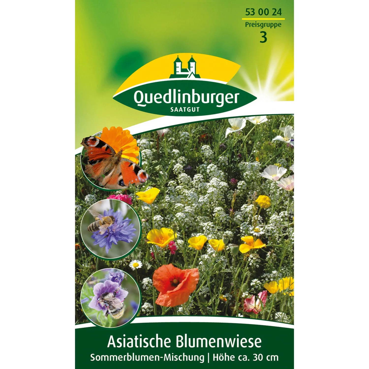 Quedlinburger Asiatische Blumenwiese günstig online kaufen