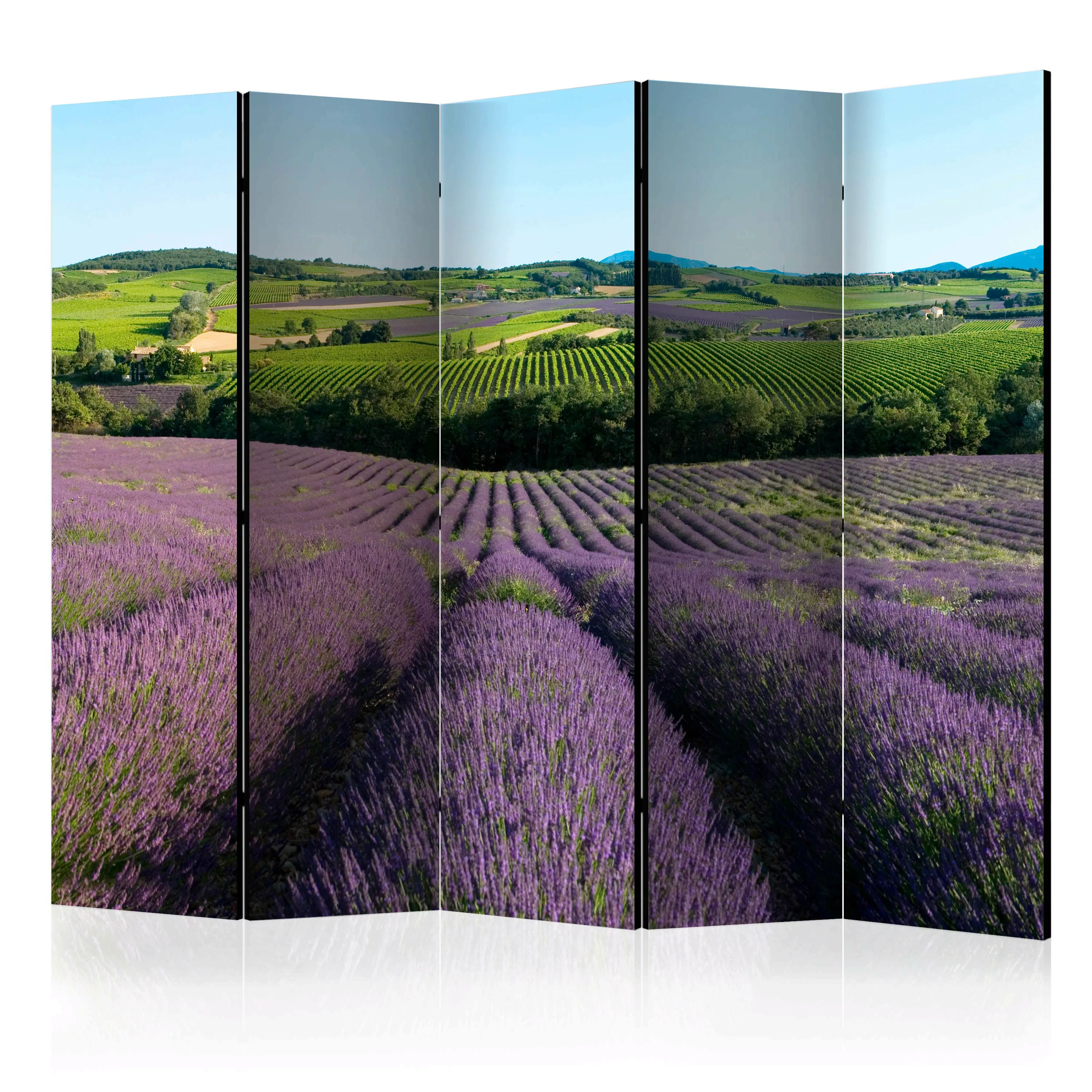5-teiliges Paravent - Lavender Fields Ii [room Dividers] günstig online kaufen